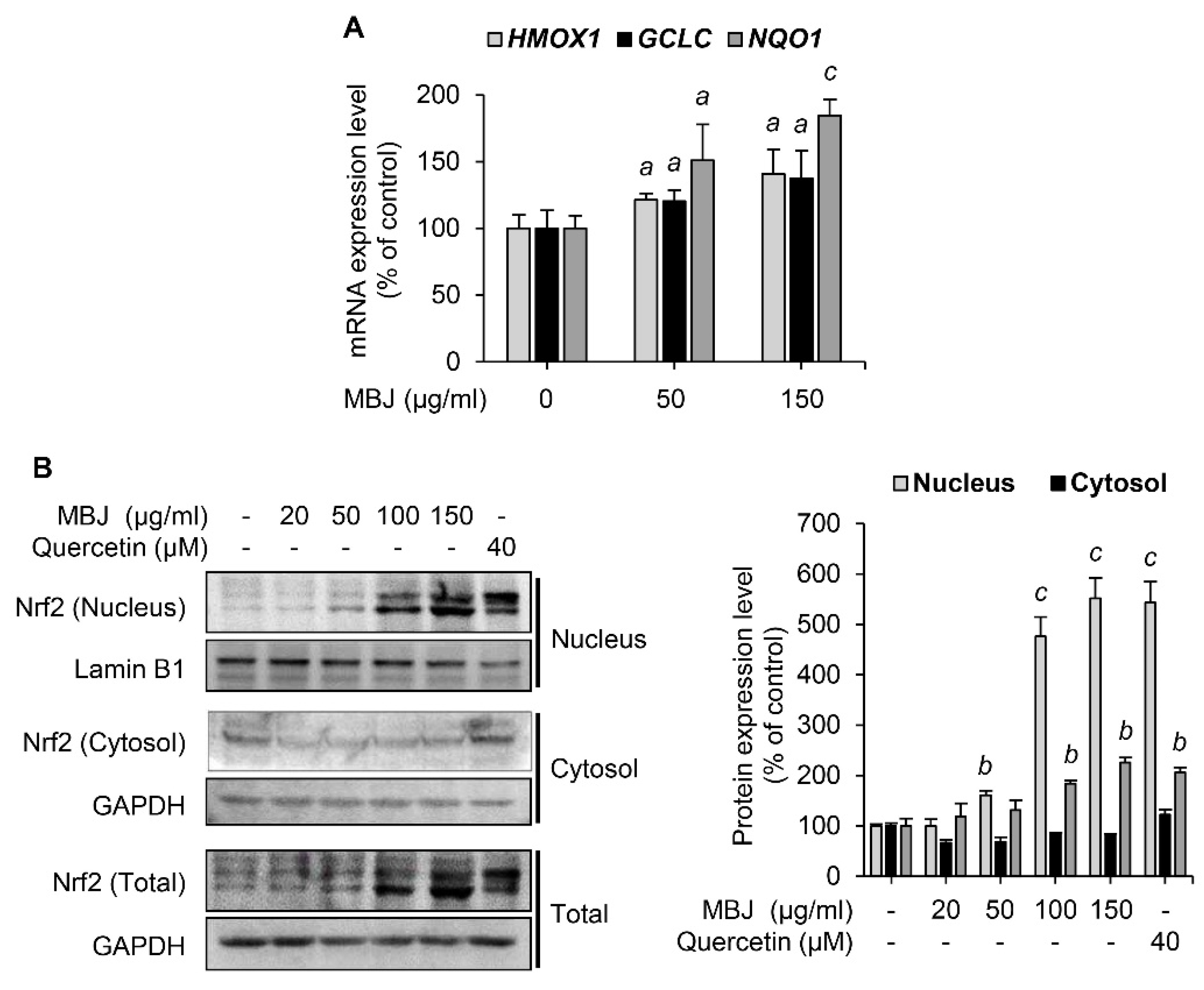 Antioxidants 10 01295 g003