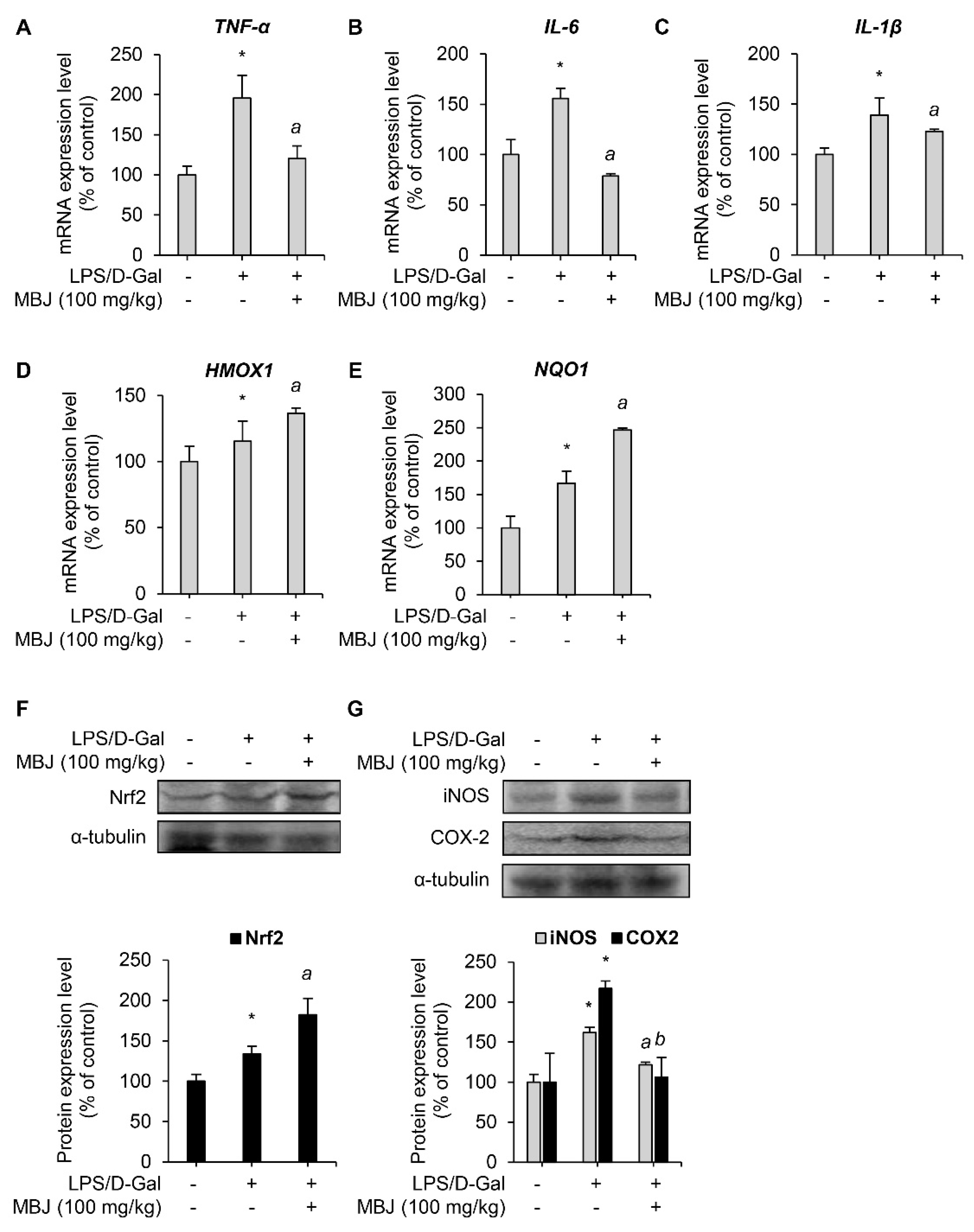 Antioxidants 10 01295 g005