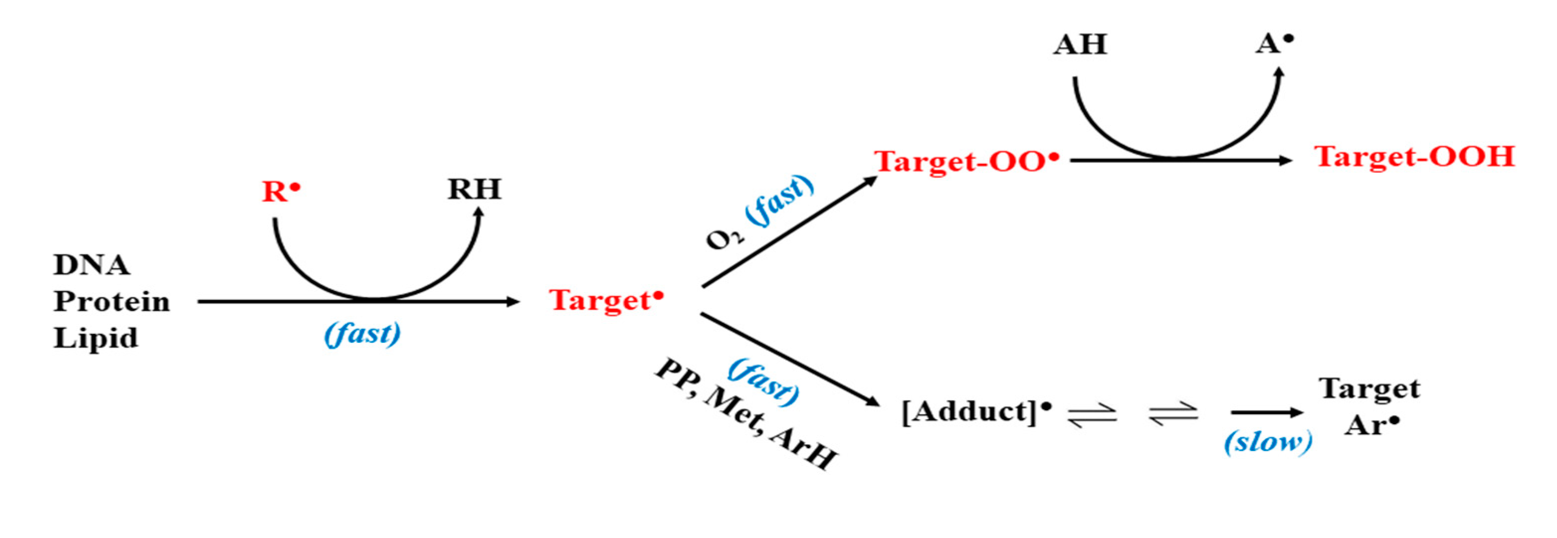 Antioxidants 10 01297 sch002