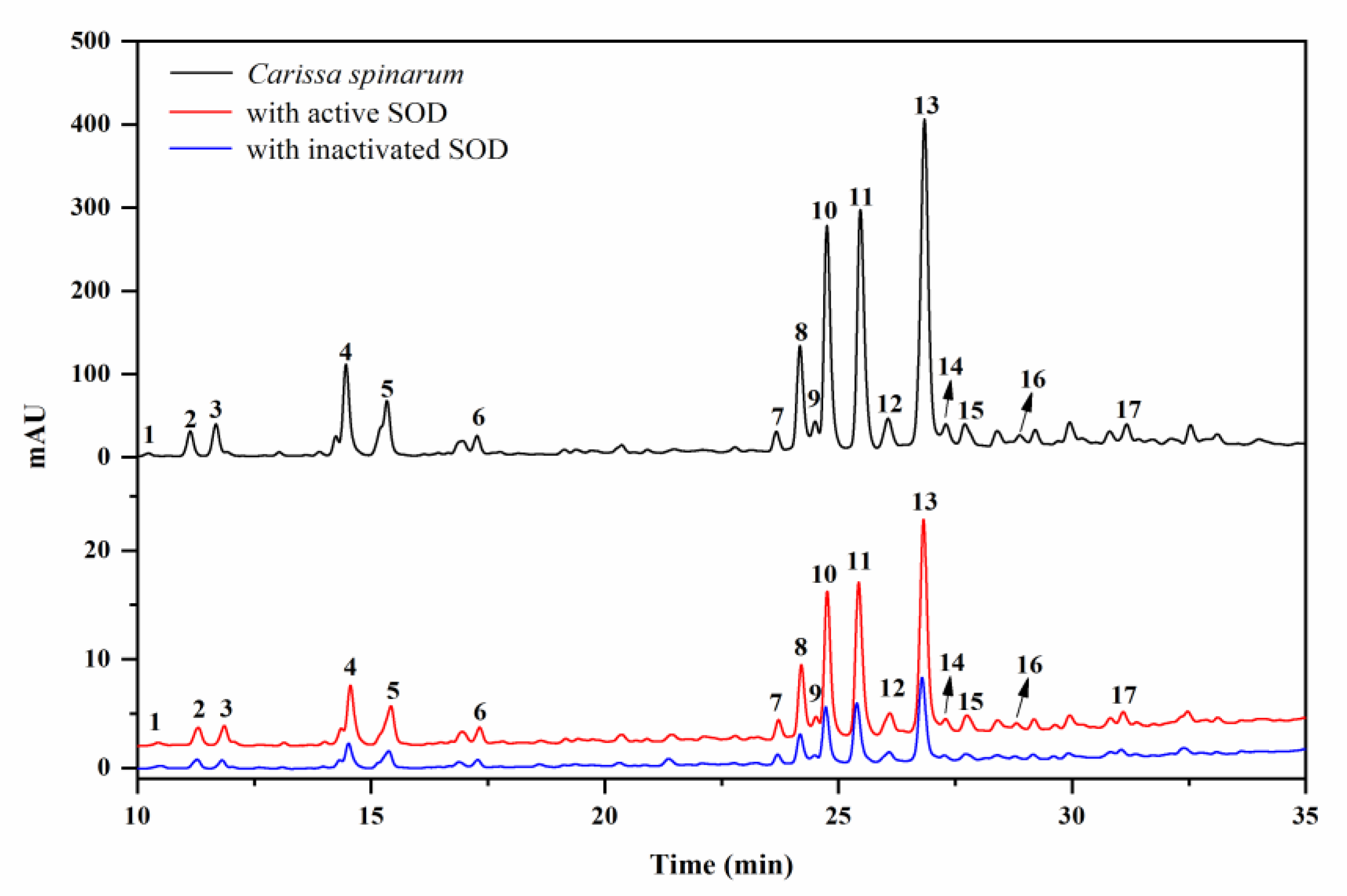 Antioxidants 10 01302 g001