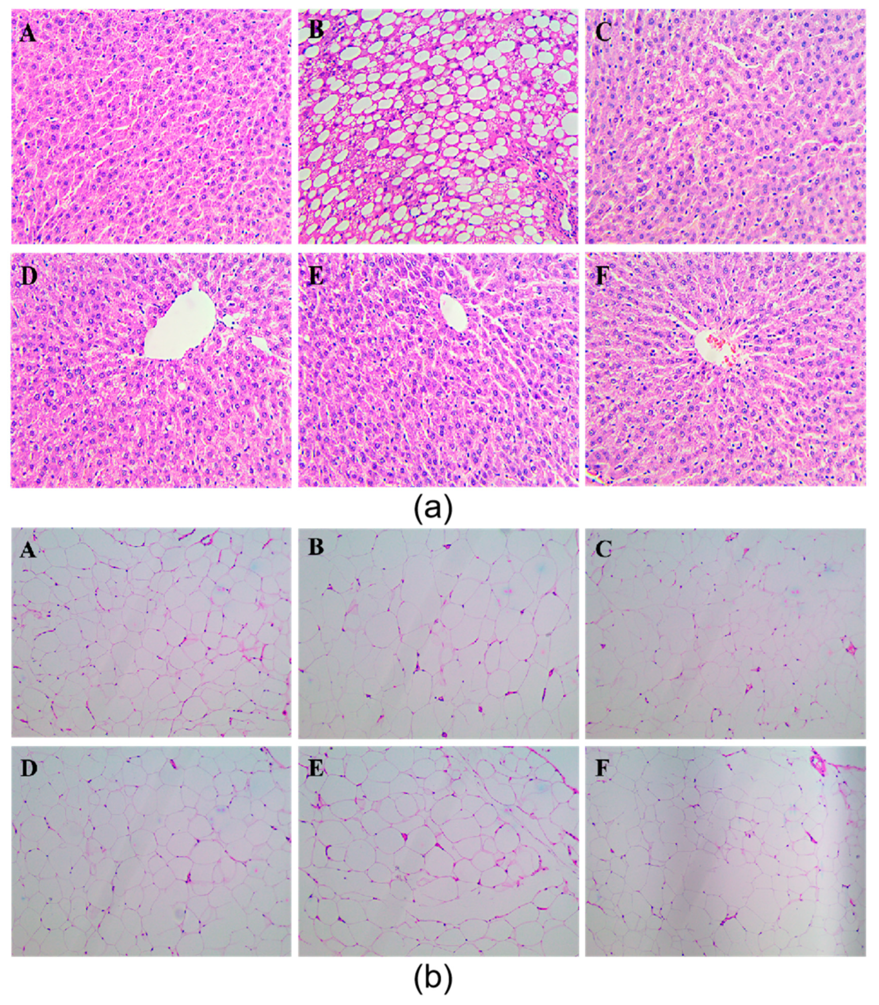 Antioxidants 10 01309 g002