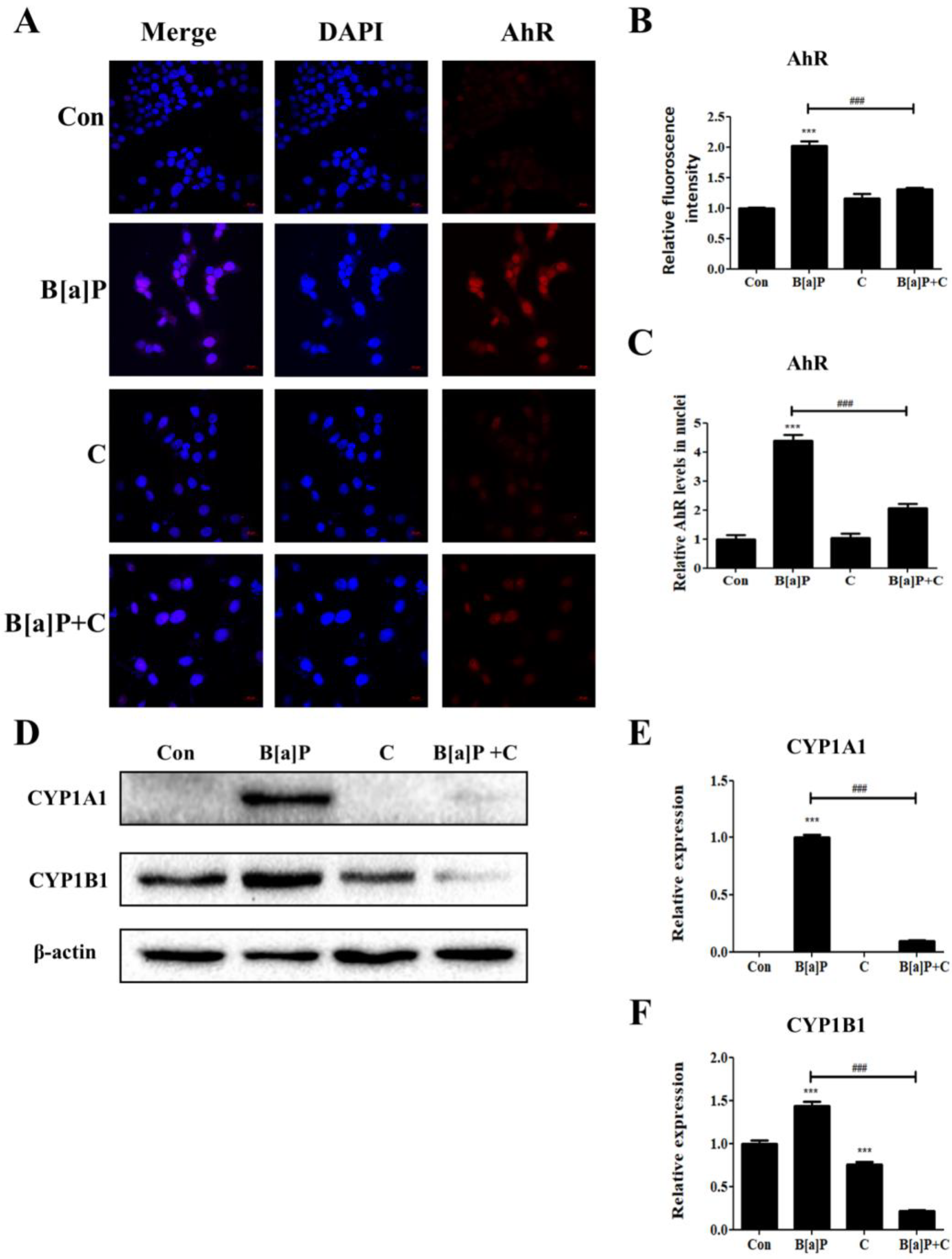 Antioxidants 10 01314 g003