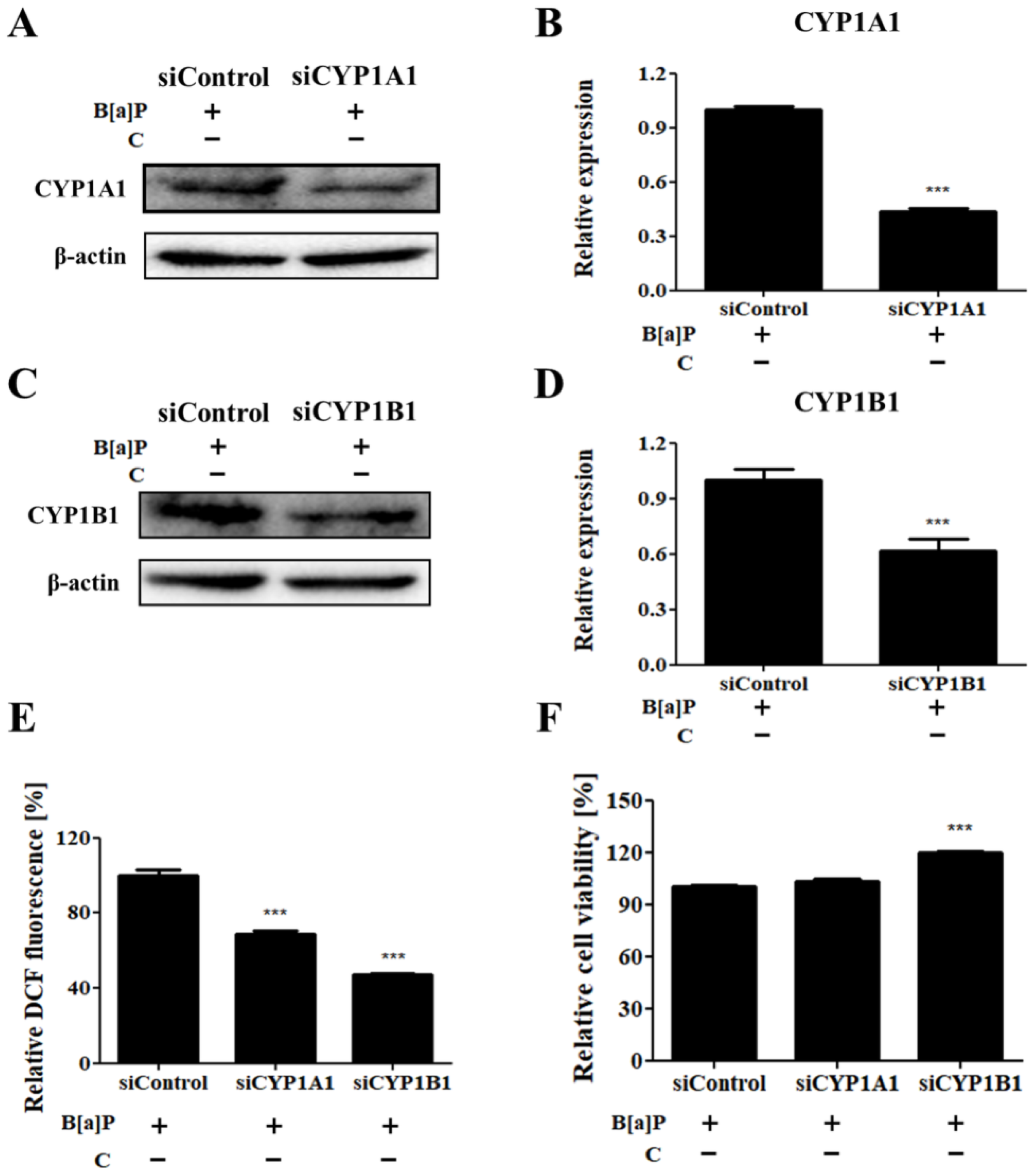 Antioxidants 10 01314 g005