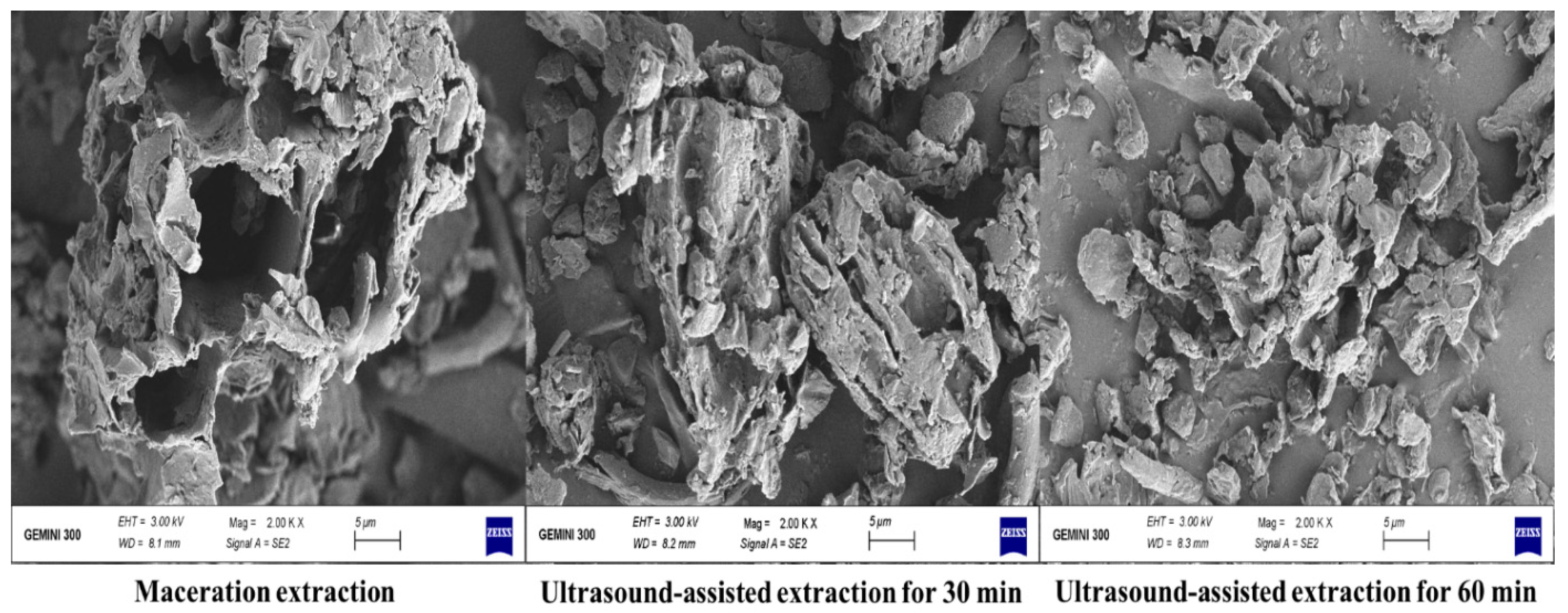 Antioxidants 10 01317 g006