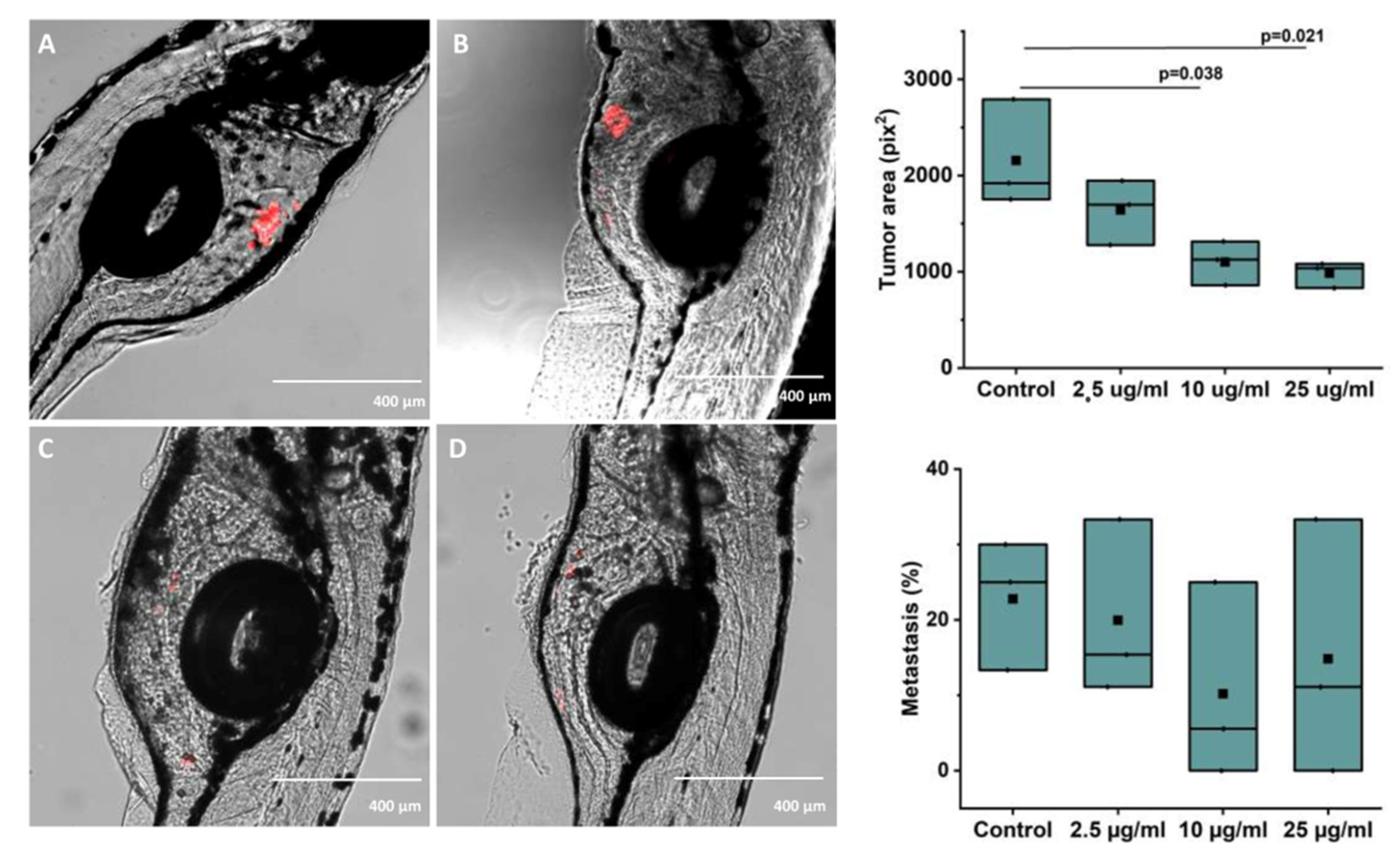 Antioxidants 10 01319 g005