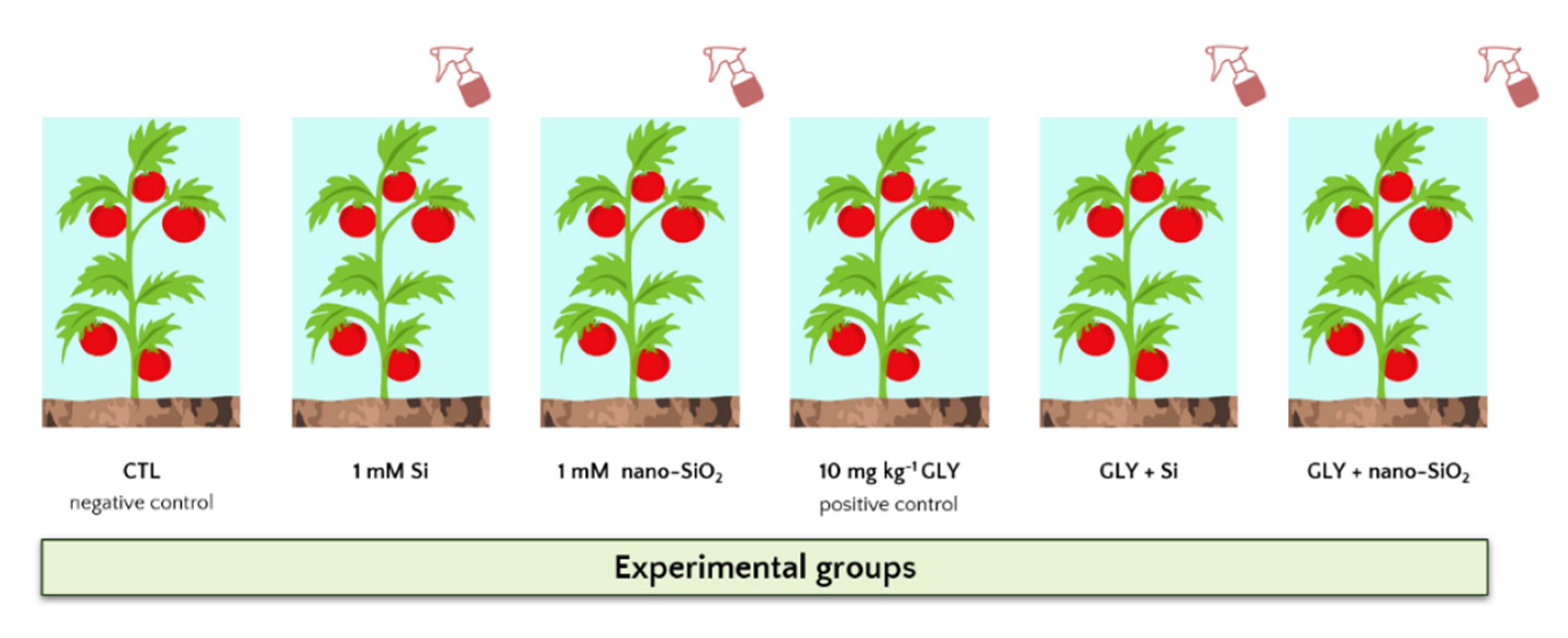 Antioxidants 10 01320 g001