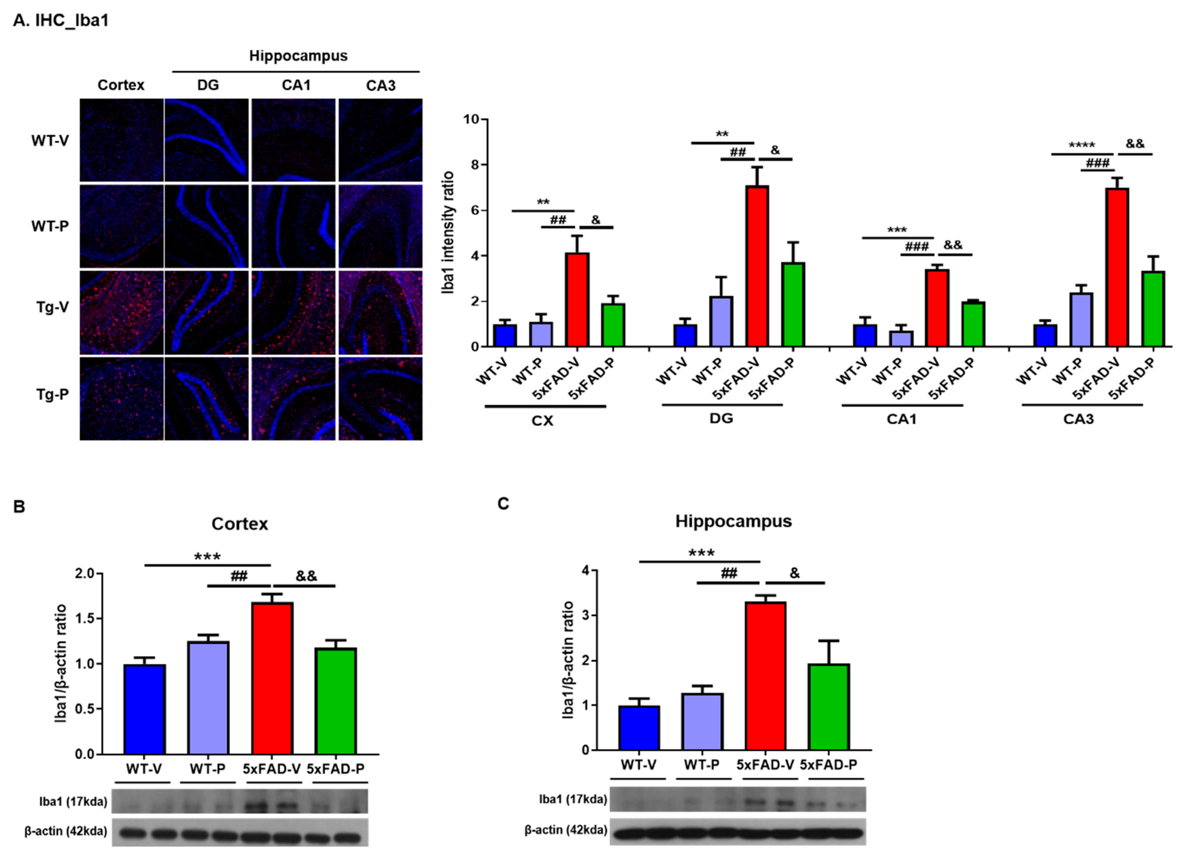 Antioxidants 10 01321 g004