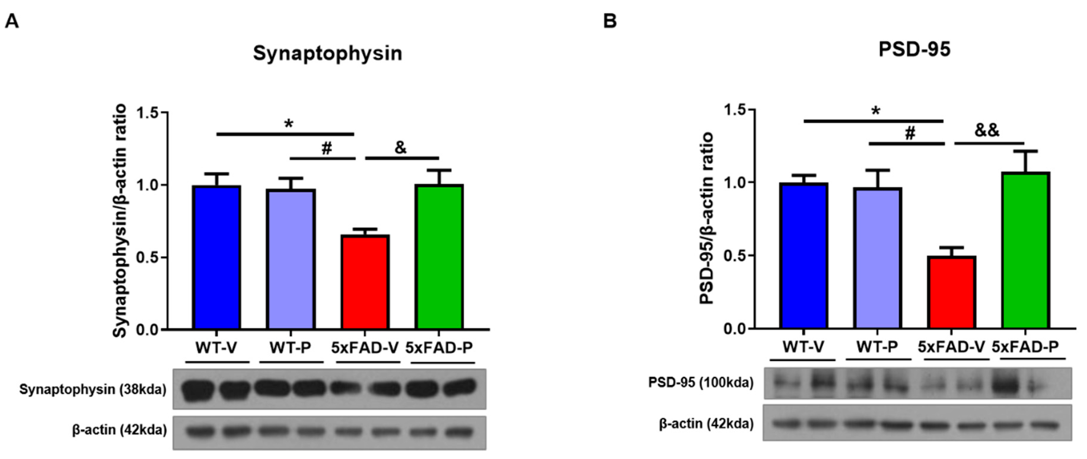 Antioxidants 10 01321 g007