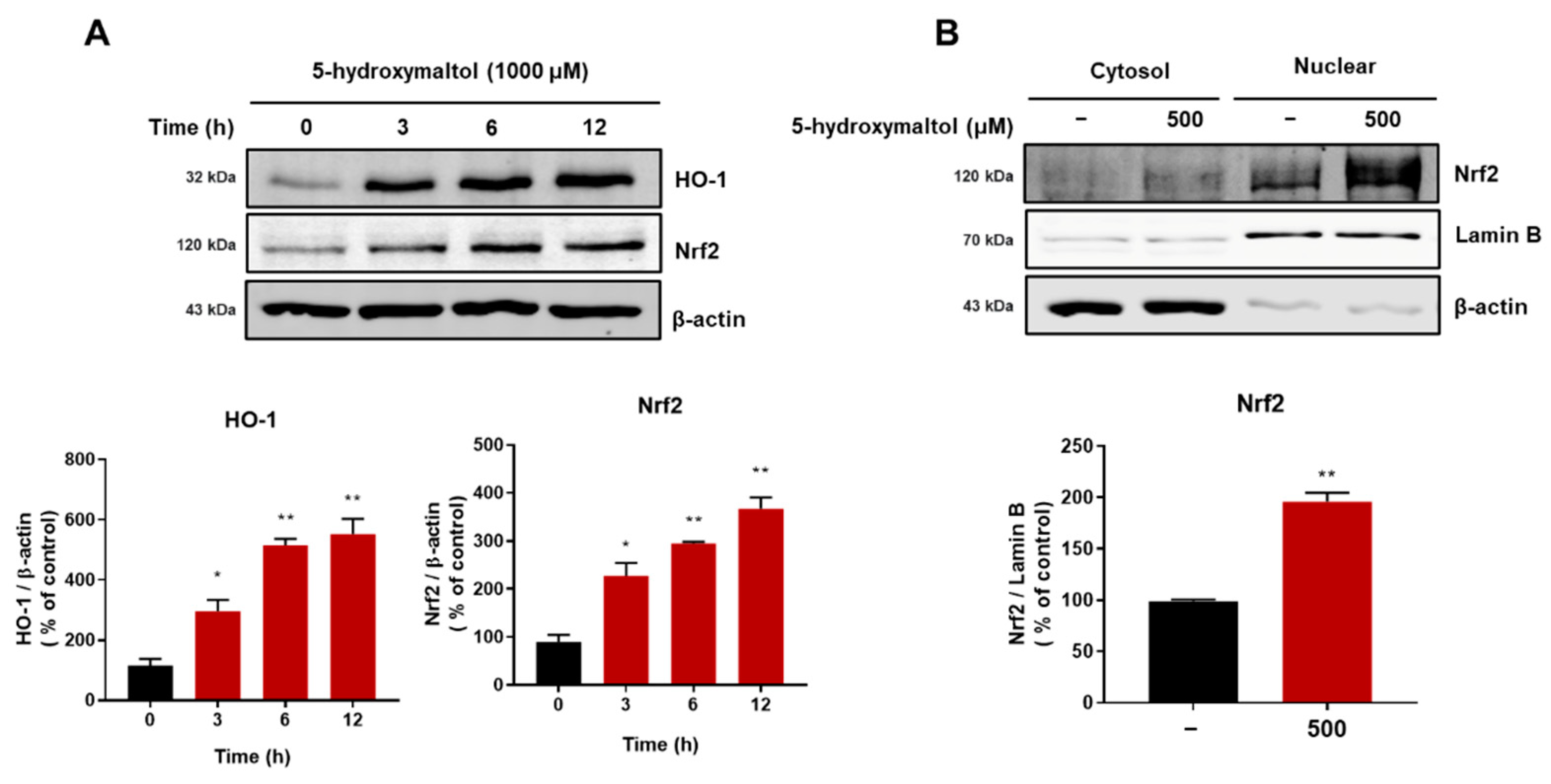 Antioxidants 10 01324 g008