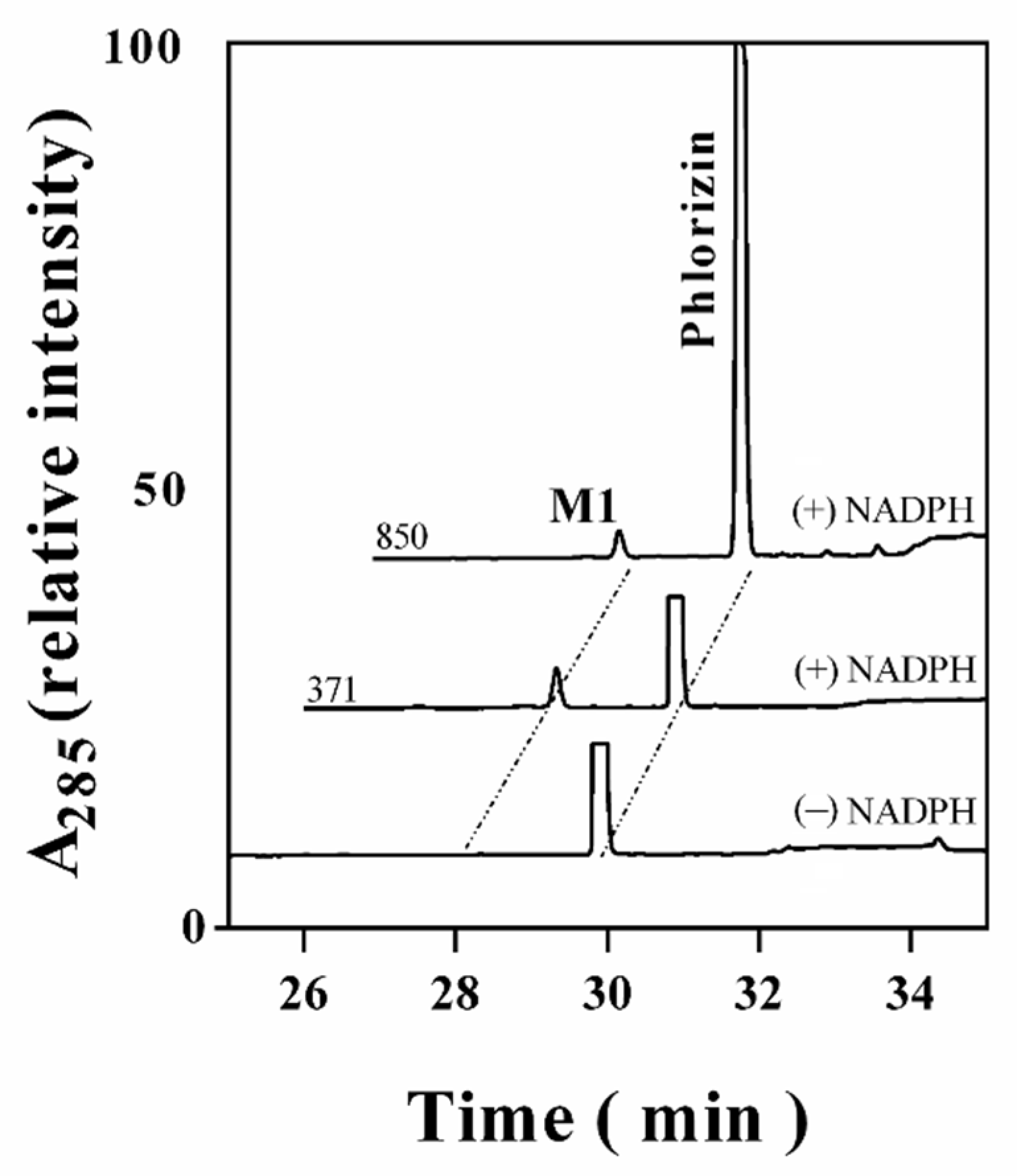 Antioxidants 10 01327 g003