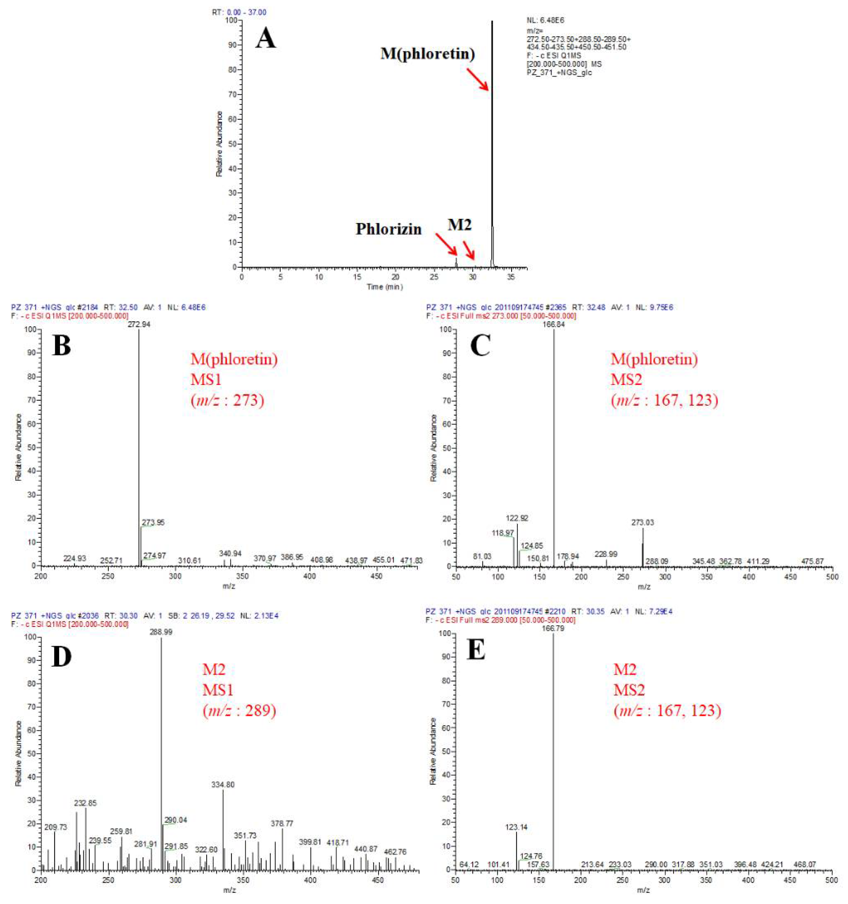 Antioxidants 10 01327 g006