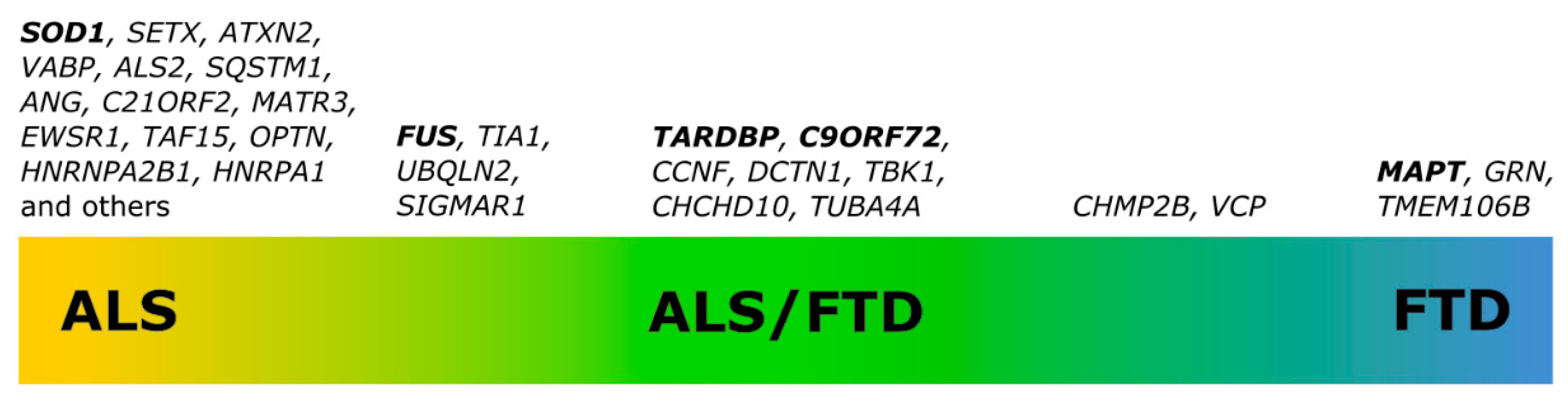 Antioxidants 10 01328 g001