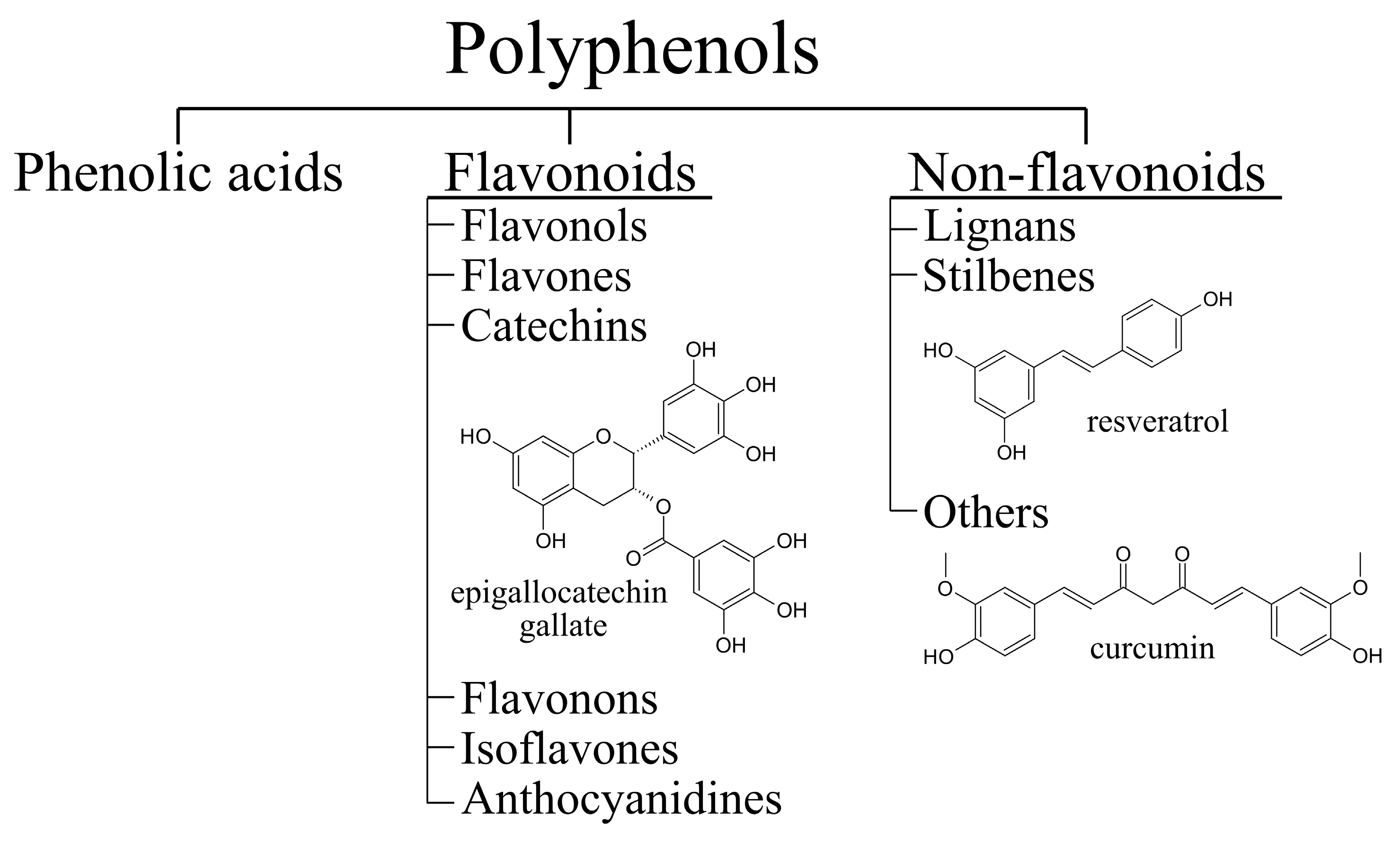 Antioxidants 10 01328 g002