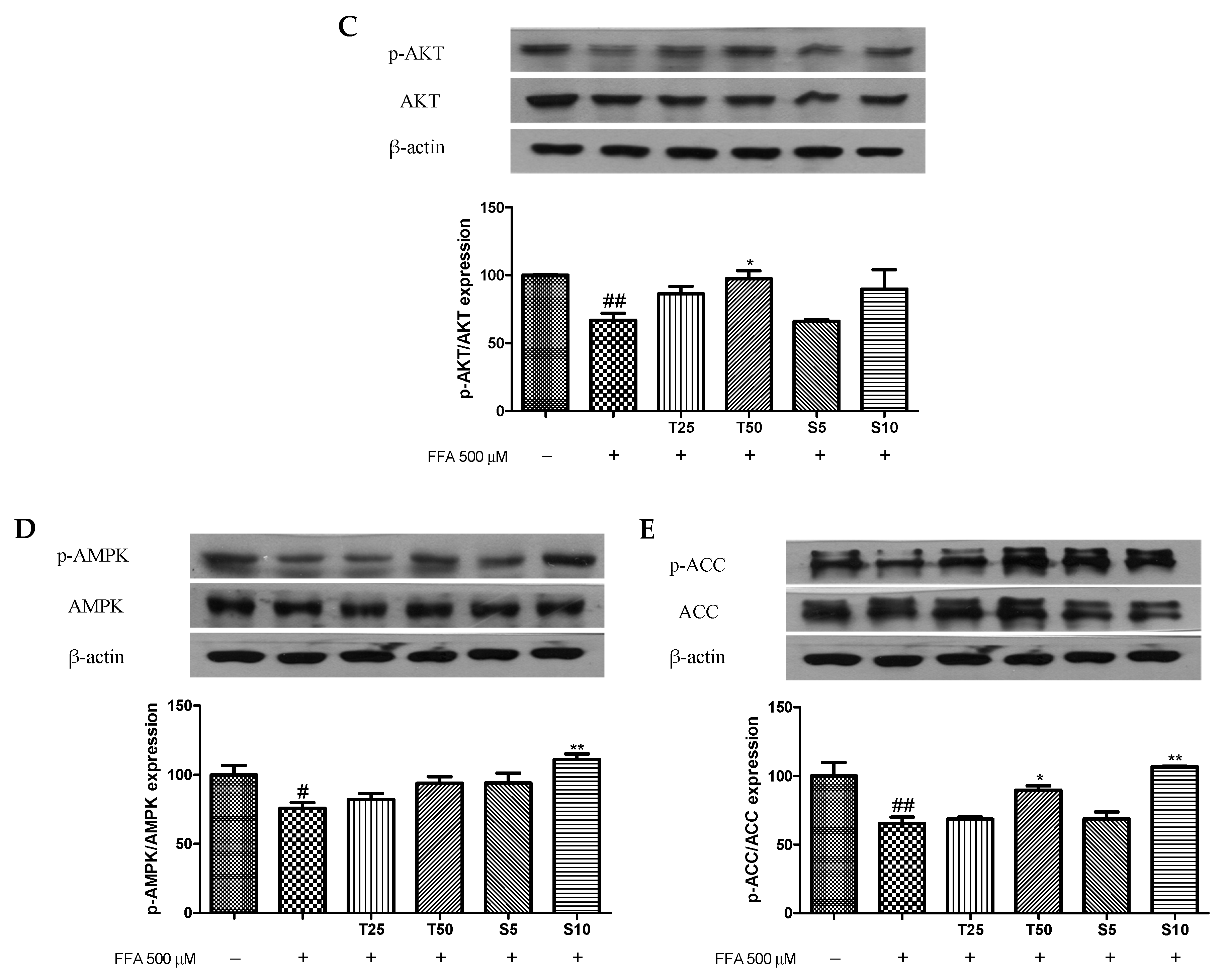Antioxidants 10 01331 g003b