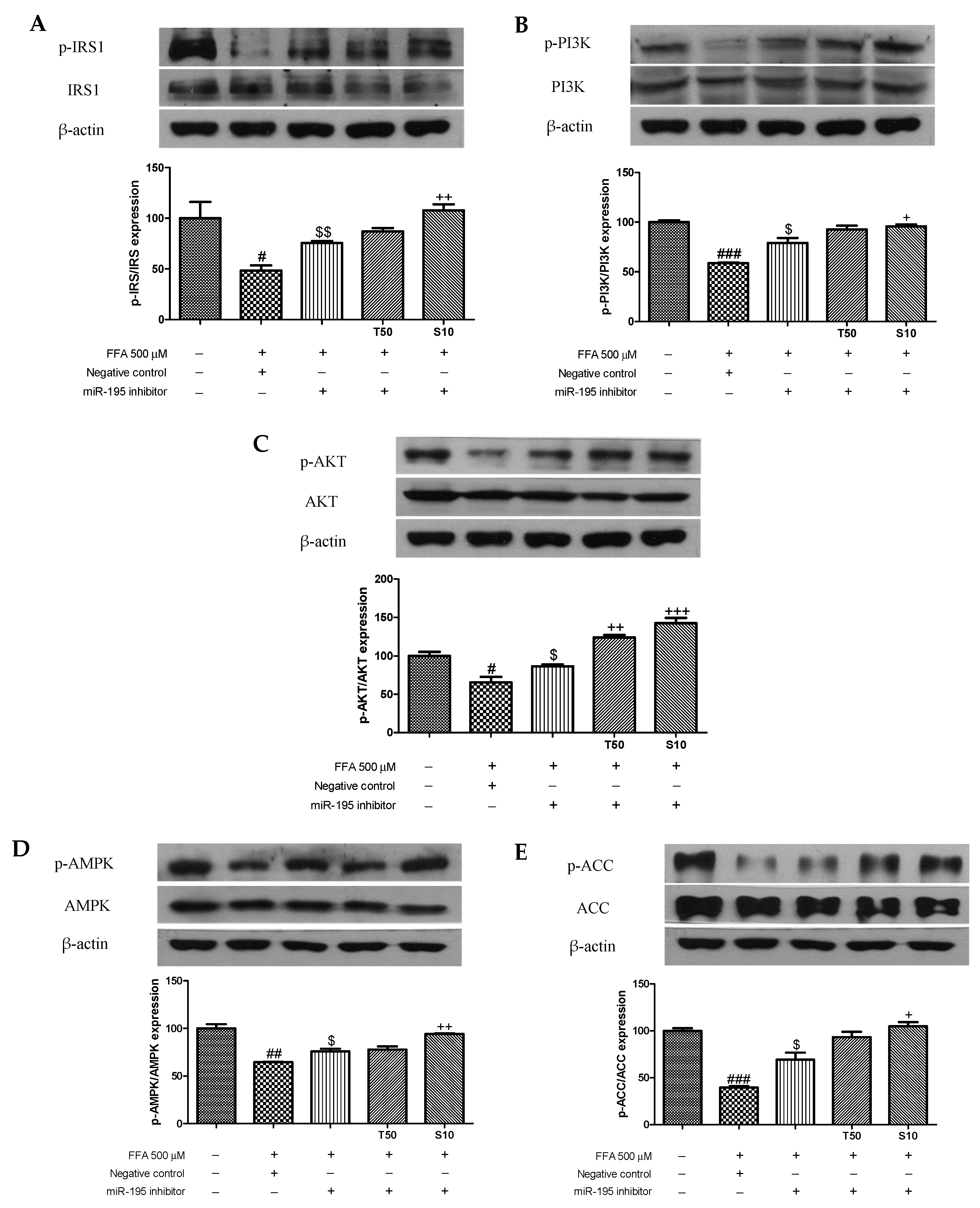 Antioxidants 10 01331 g006