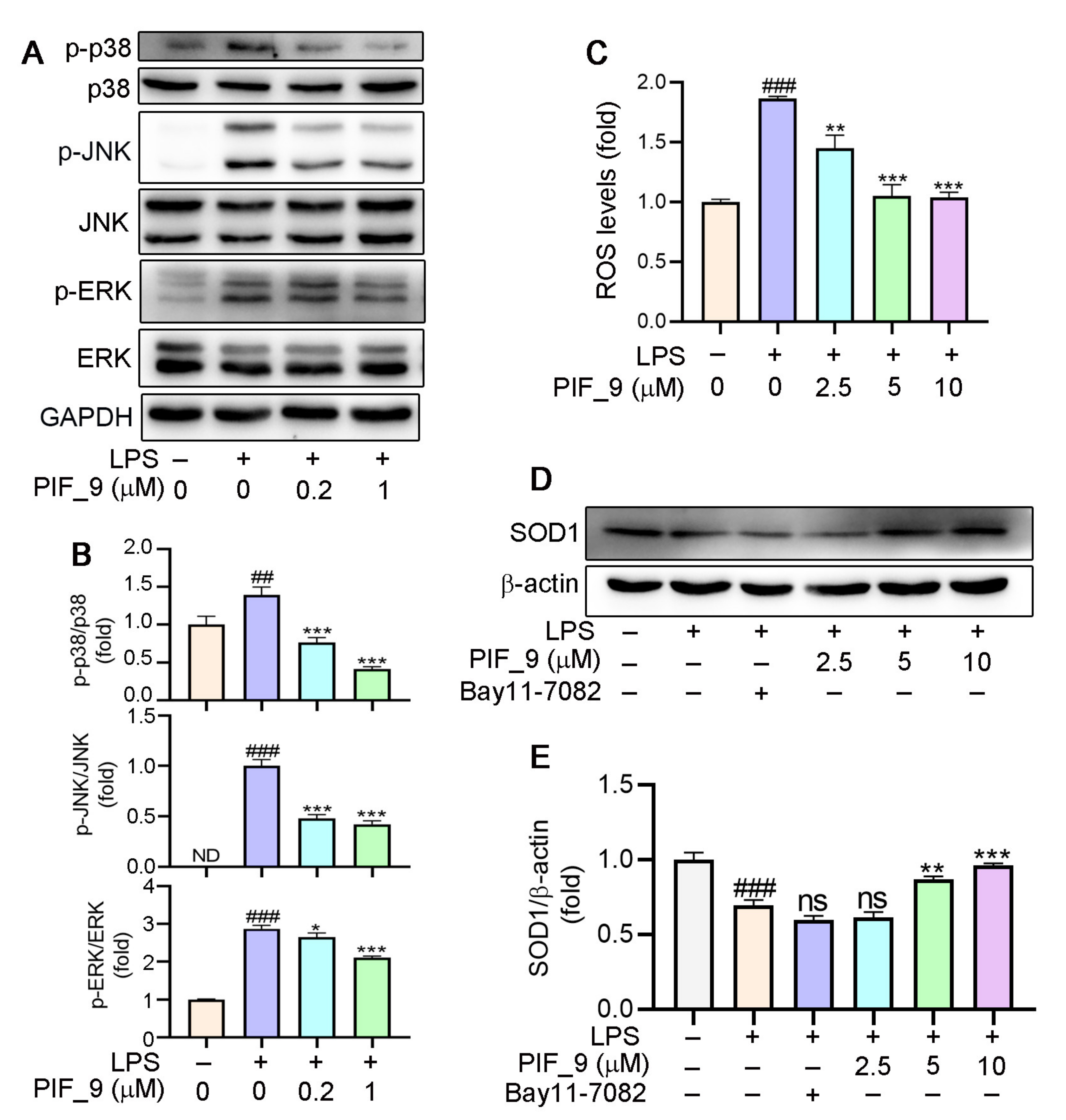 Antioxidants 10 01333 g005