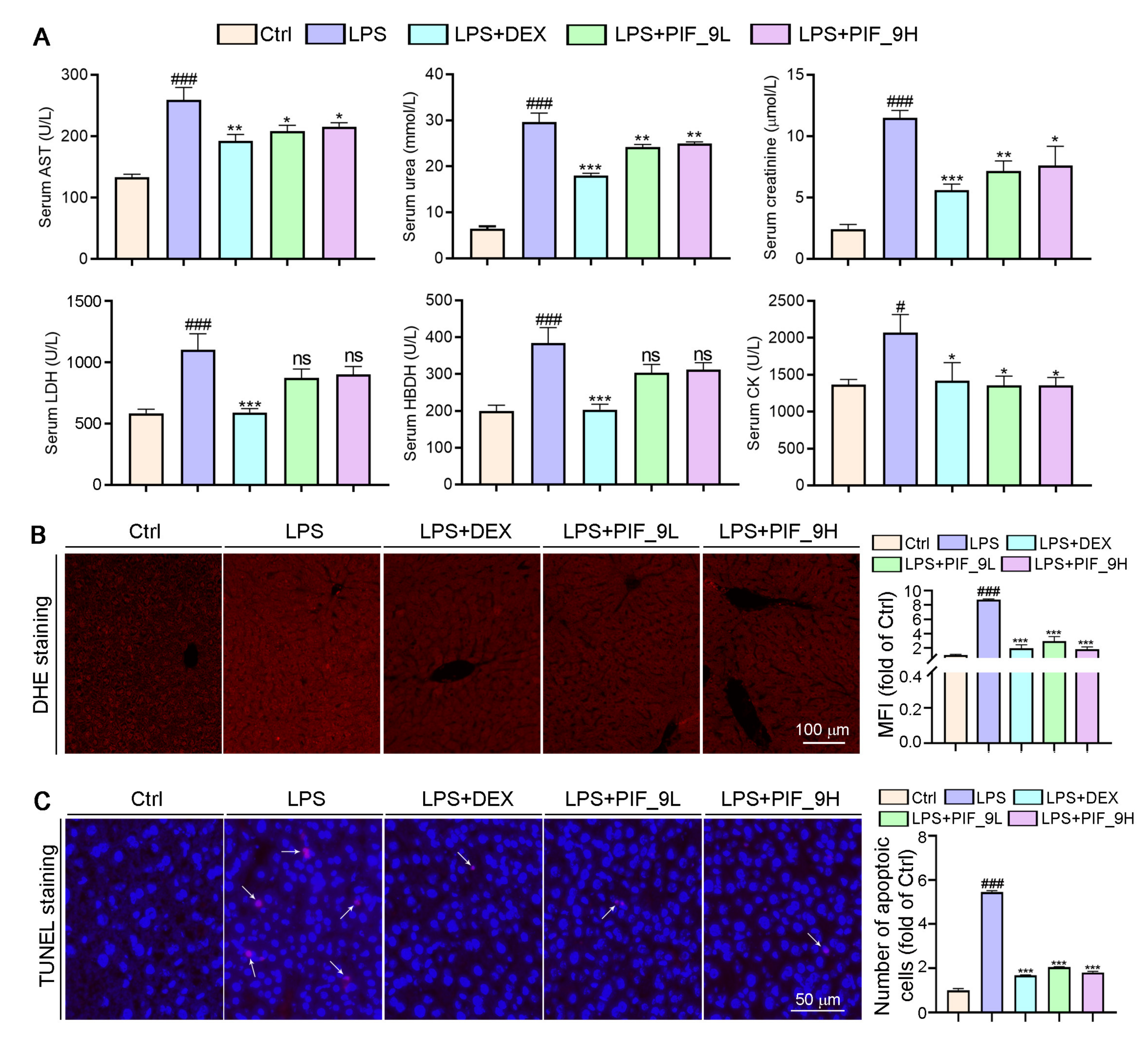 Antioxidants 10 01333 g007