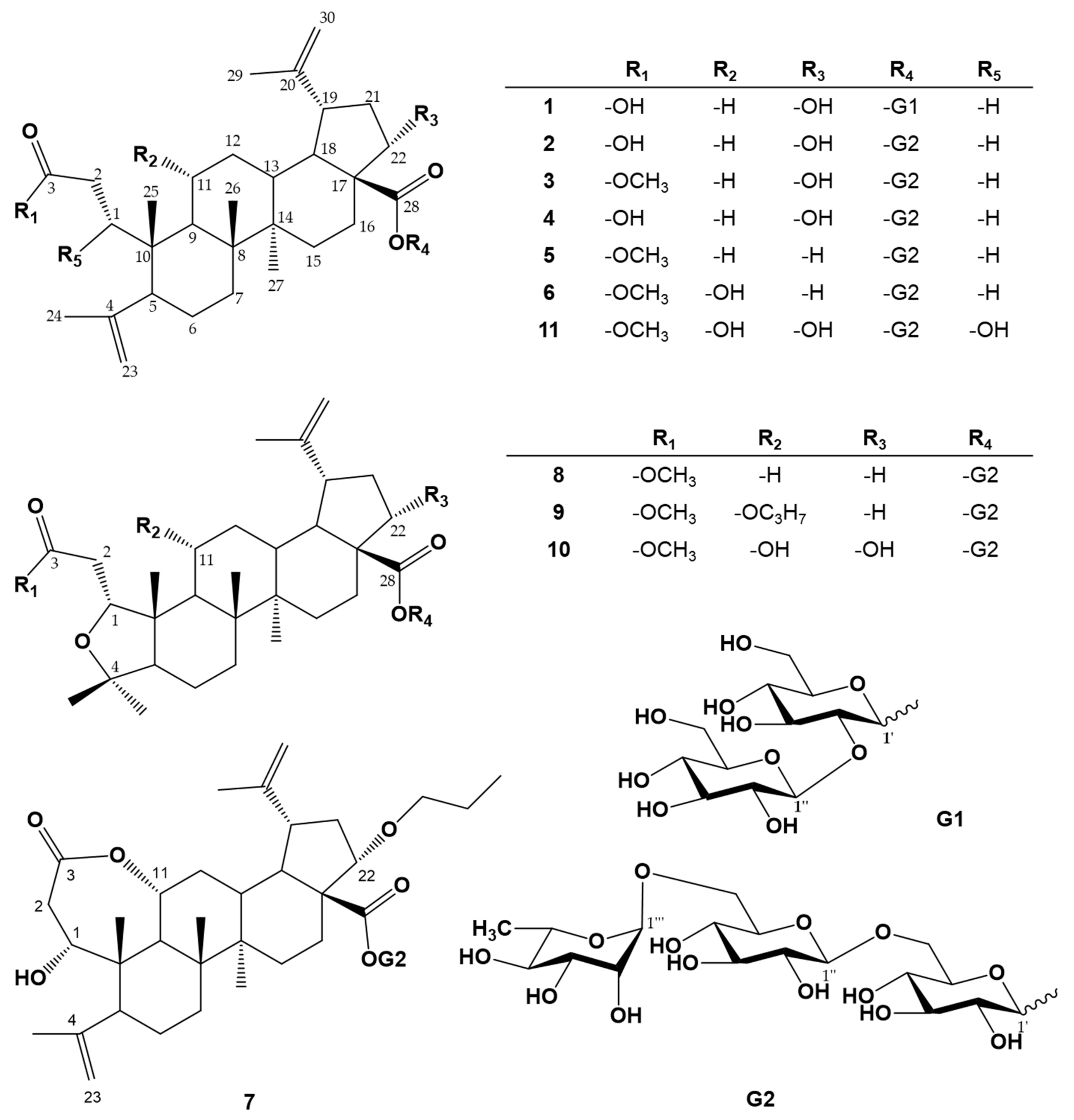 Antioxidants 10 01334 g001