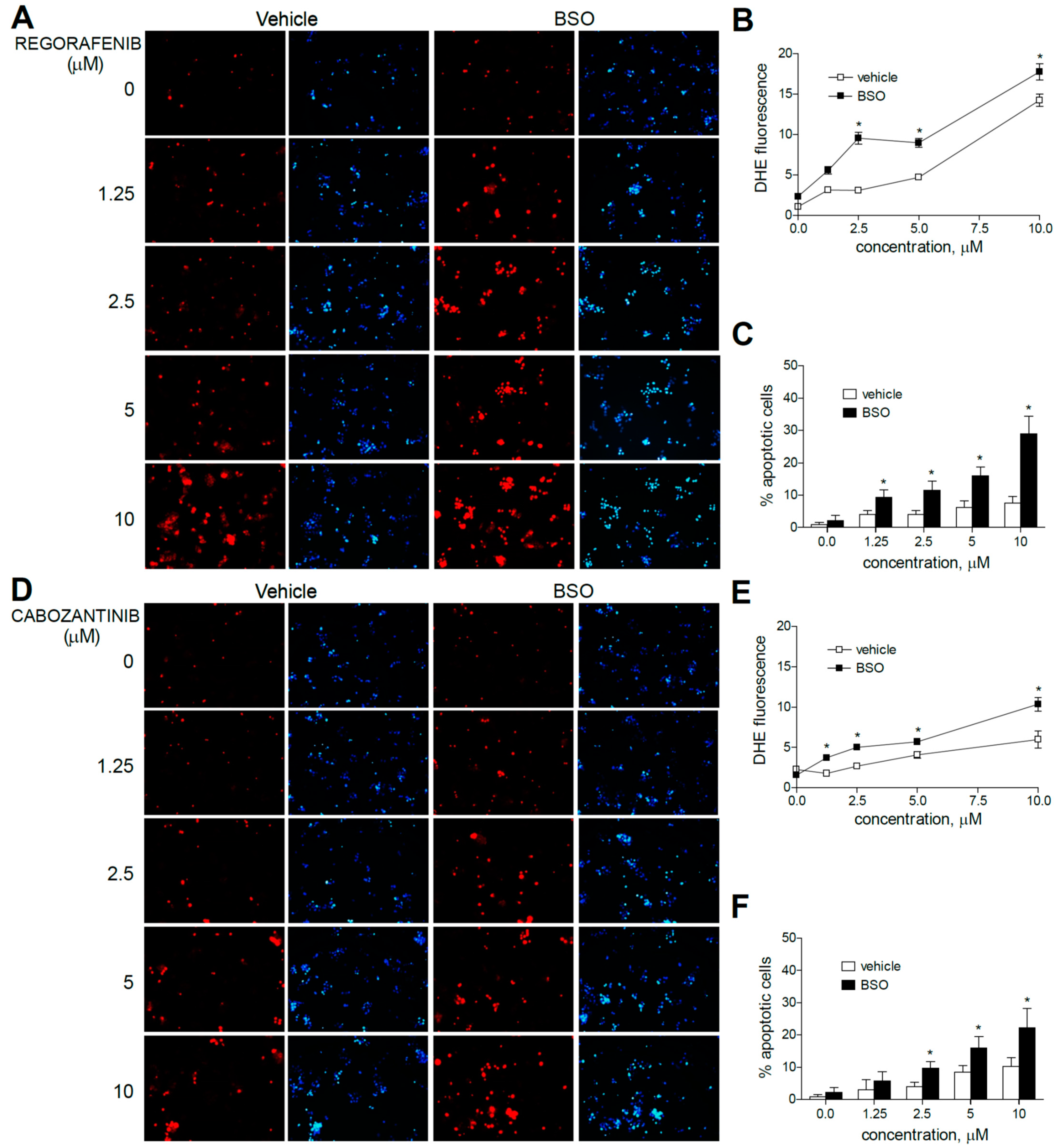 Antioxidants 10 01336 g003