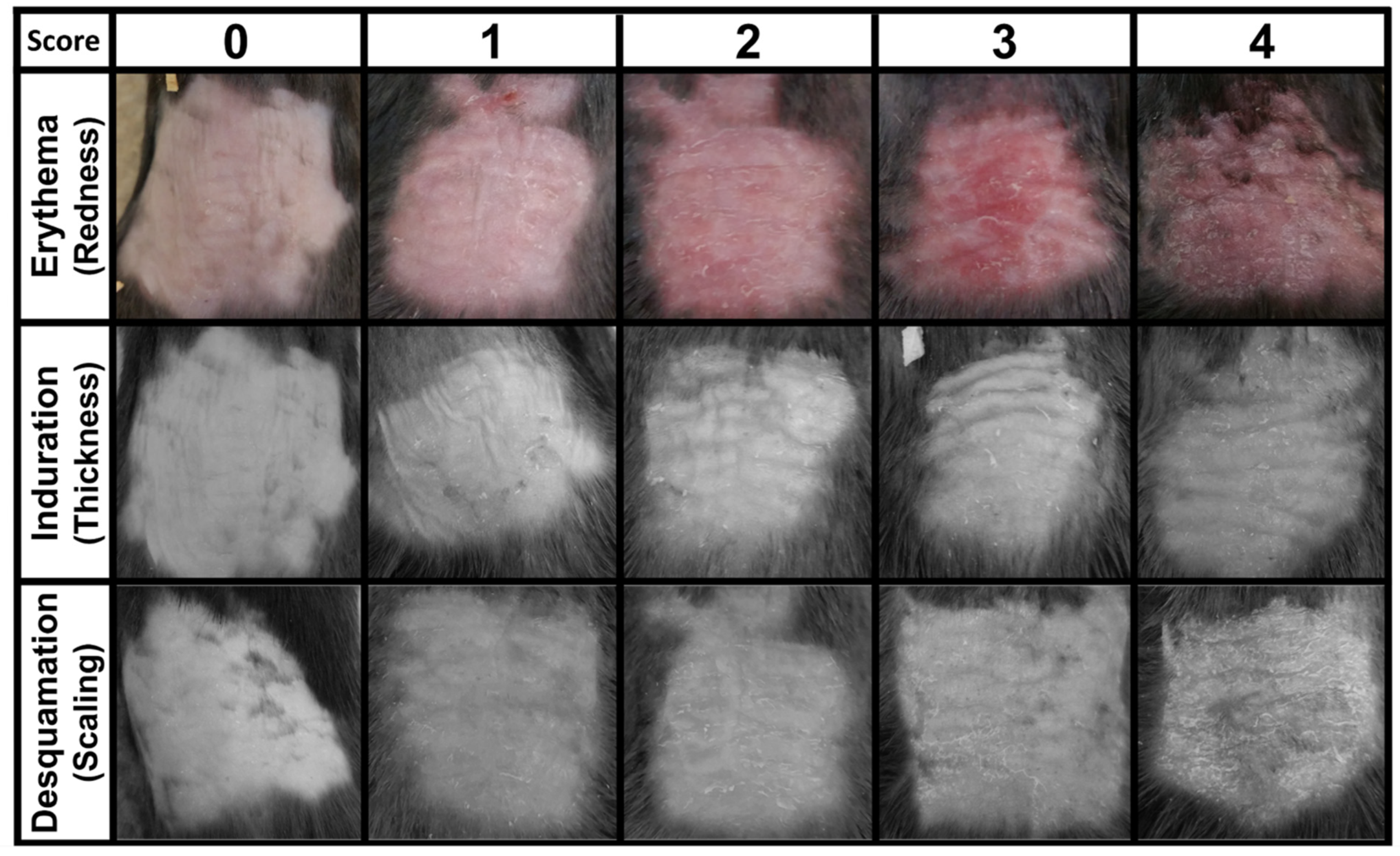 Antioxidants 10 01338 g002