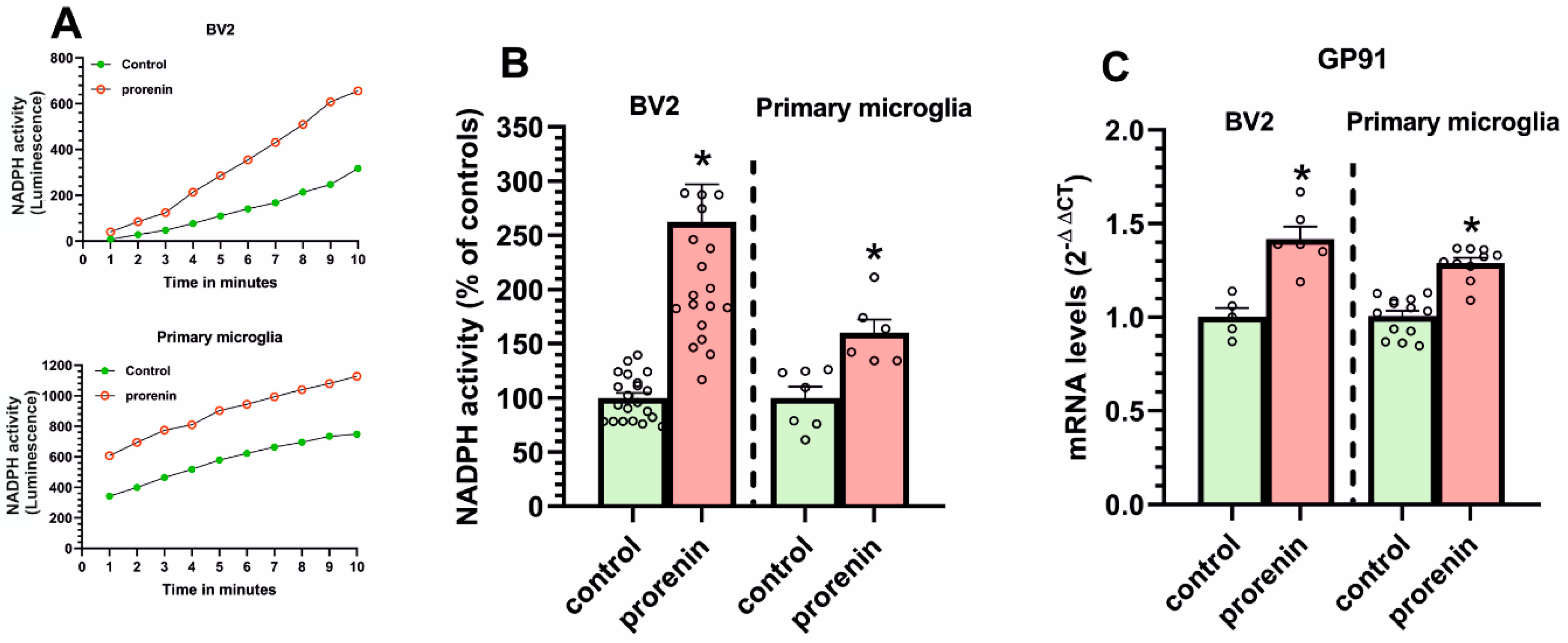 Antioxidants 10 01340 g004