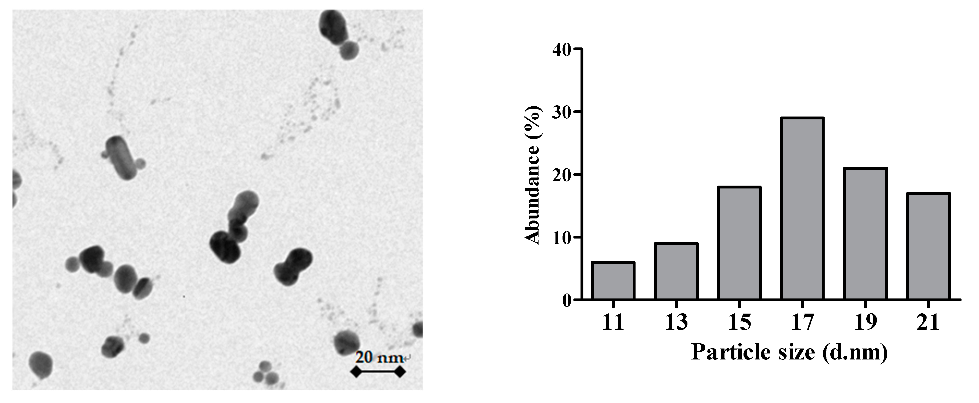 Antioxidants 10 01343 g001