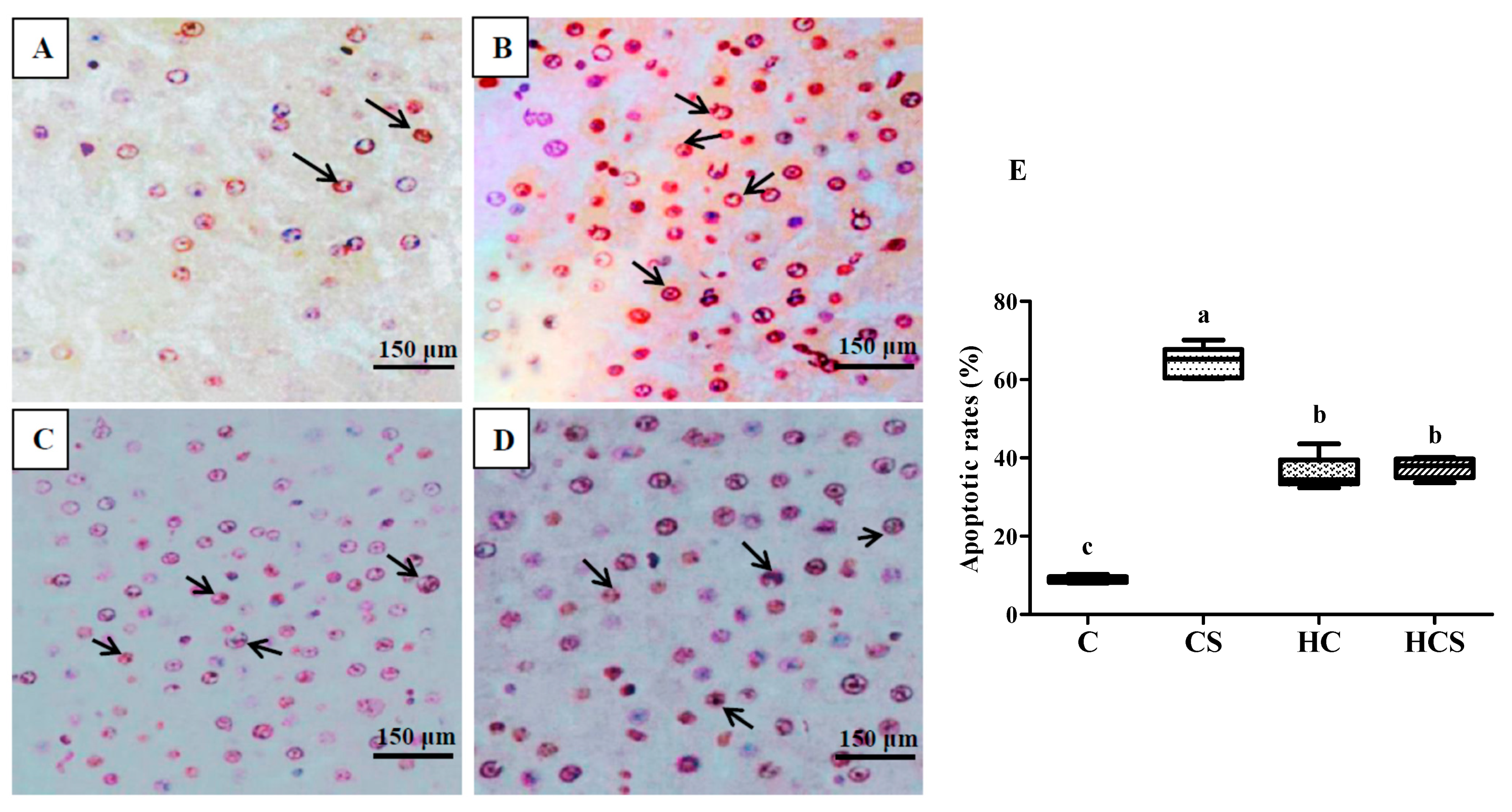 Antioxidants 10 01343 g002