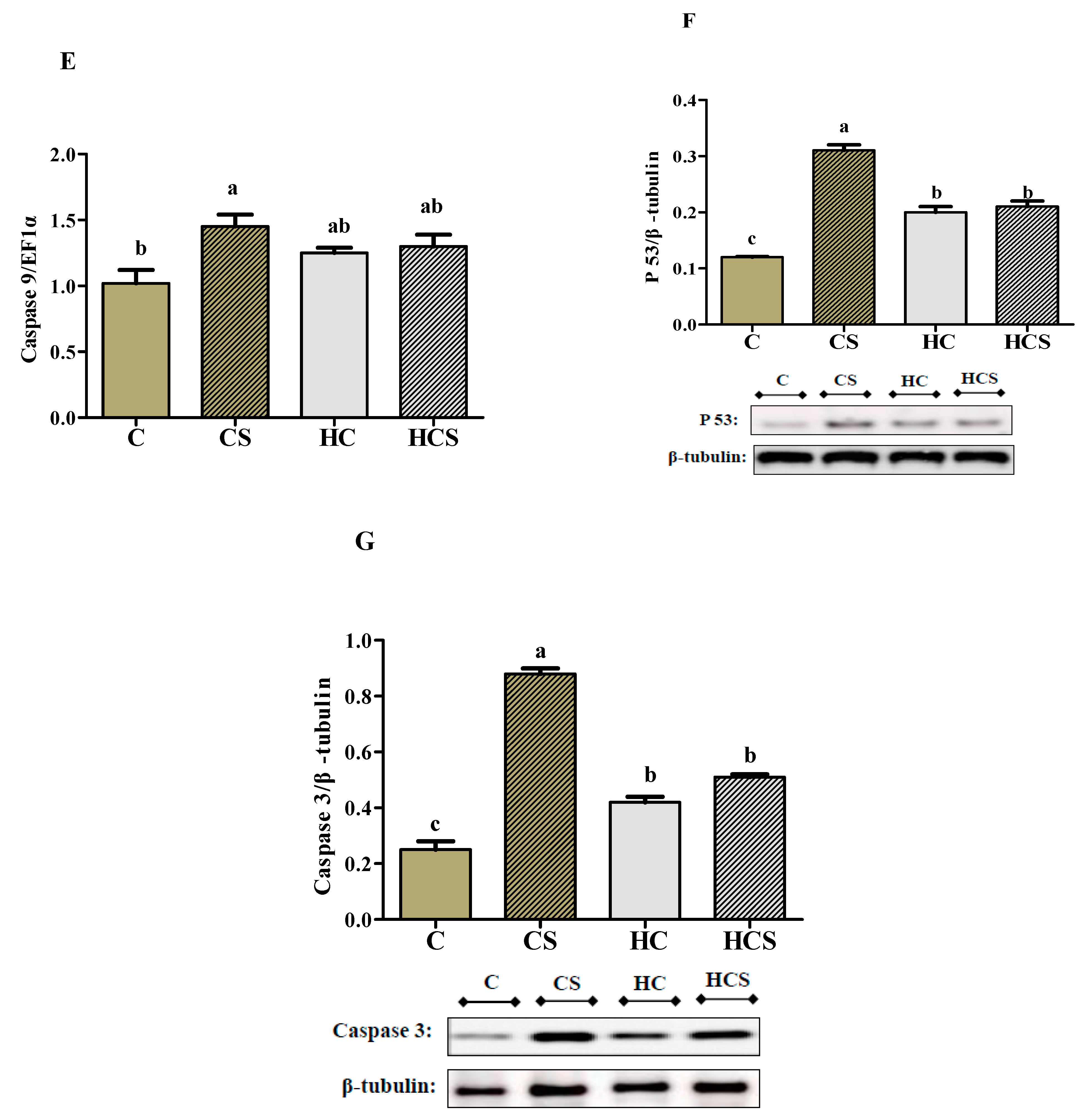 Antioxidants 10 01343 g007b
