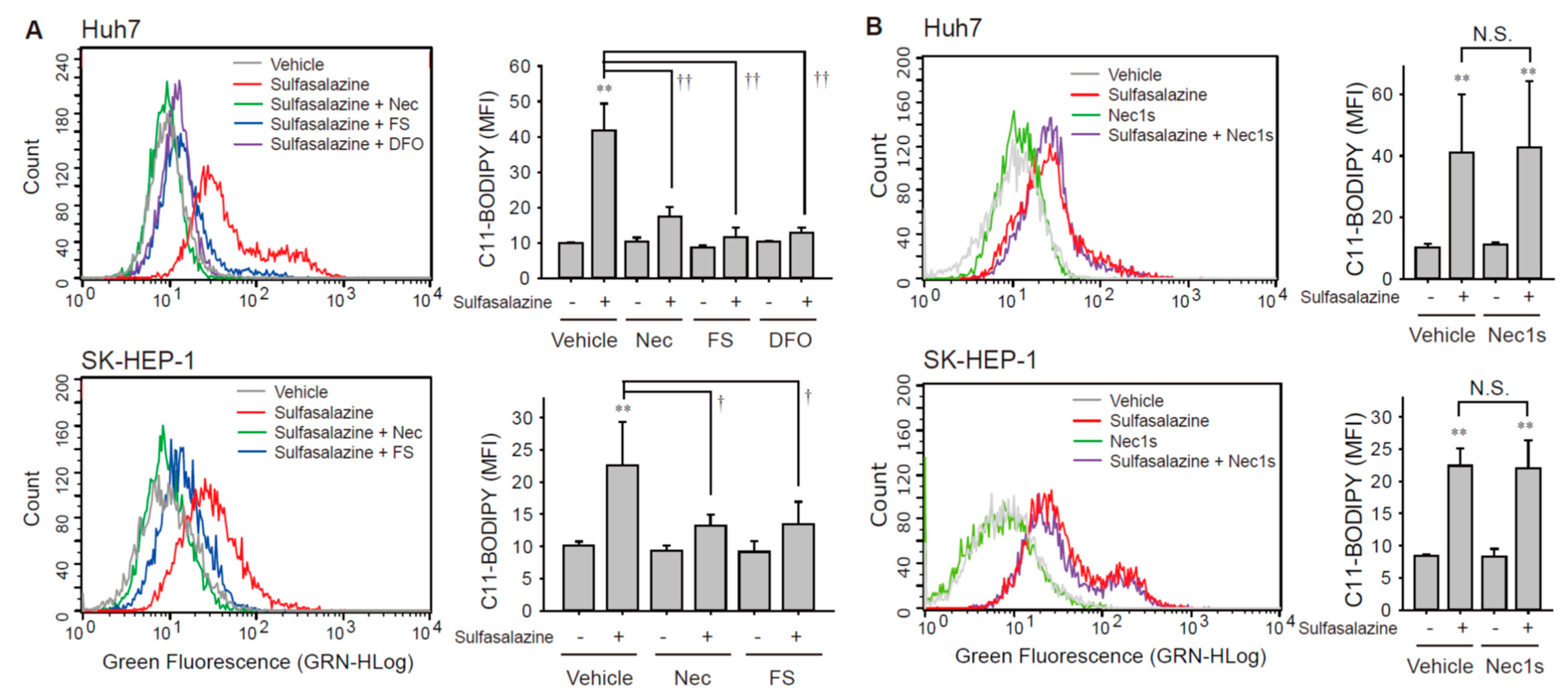Antioxidants 10 01347 g003