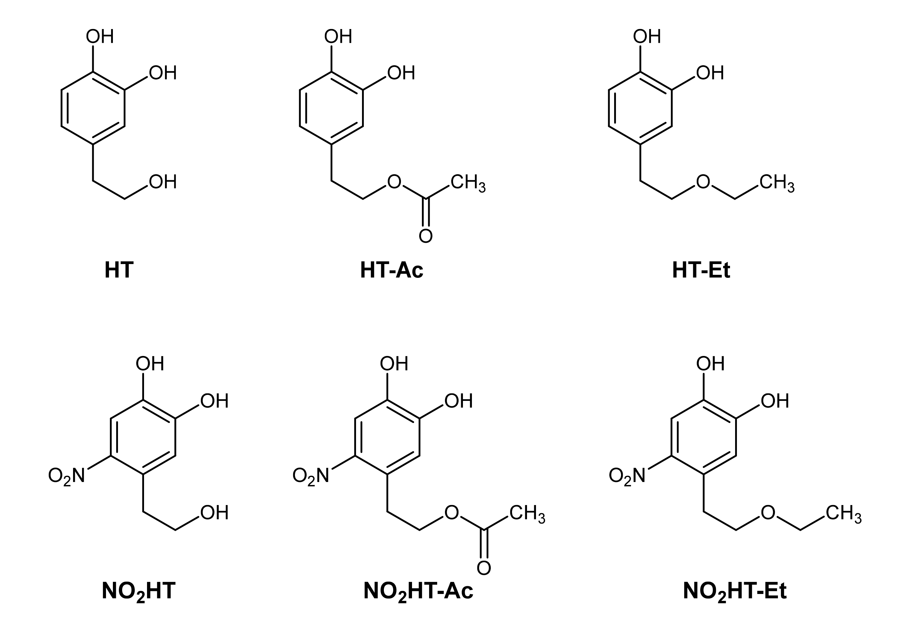 Antioxidants 10 01348 g001