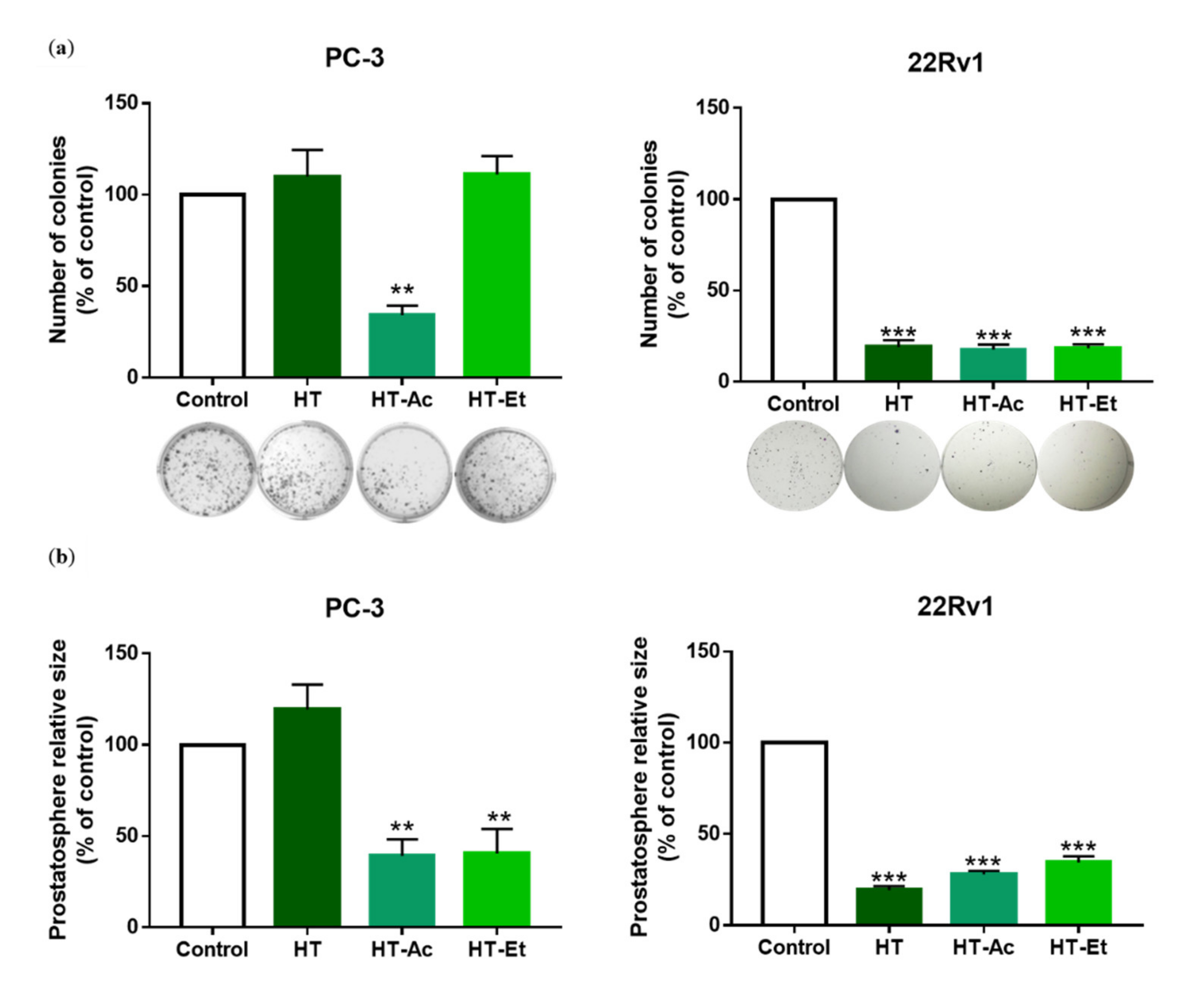 Antioxidants 10 01348 g004