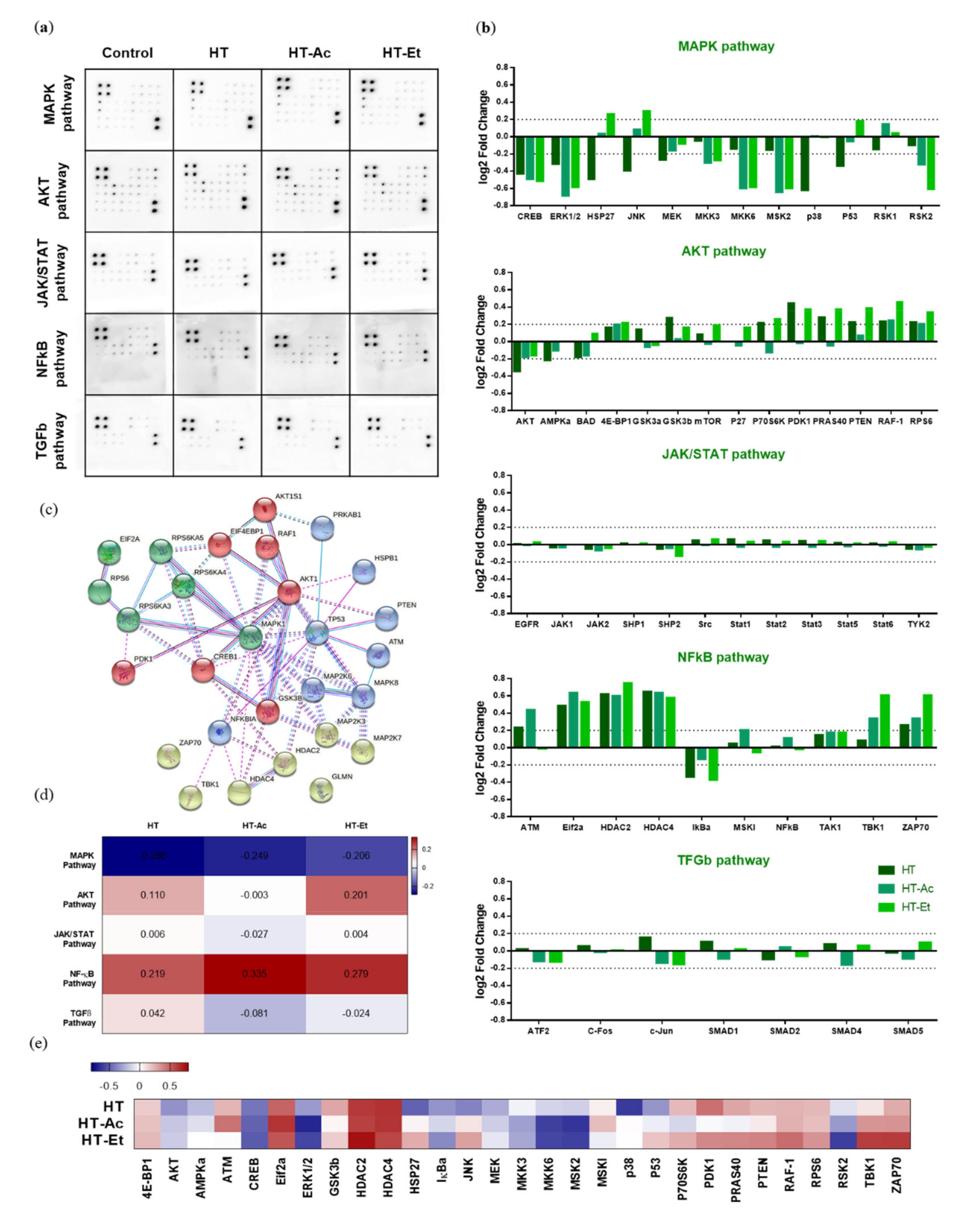 Antioxidants 10 01348 g005