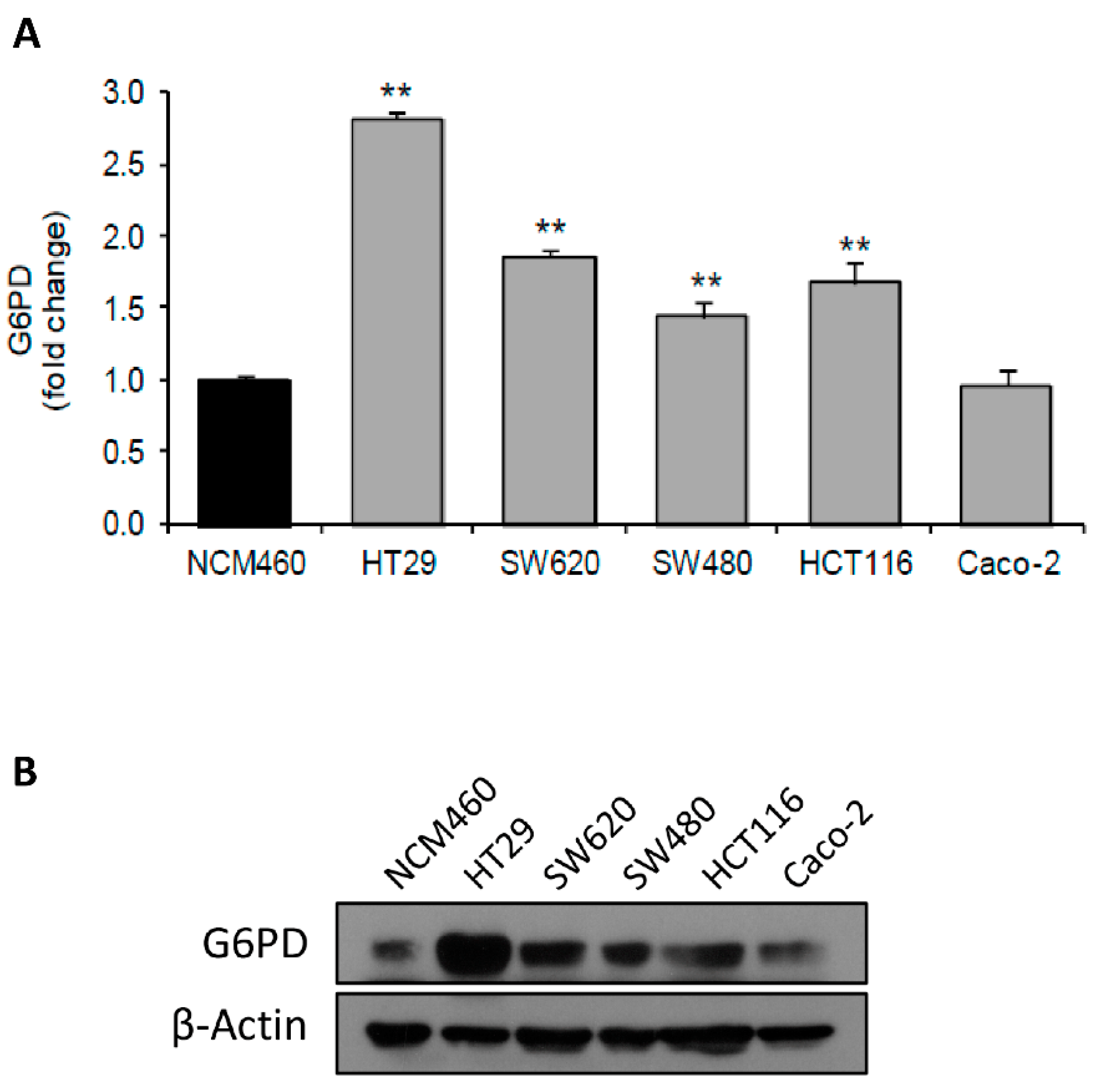 Antioxidants 10 01349 g001