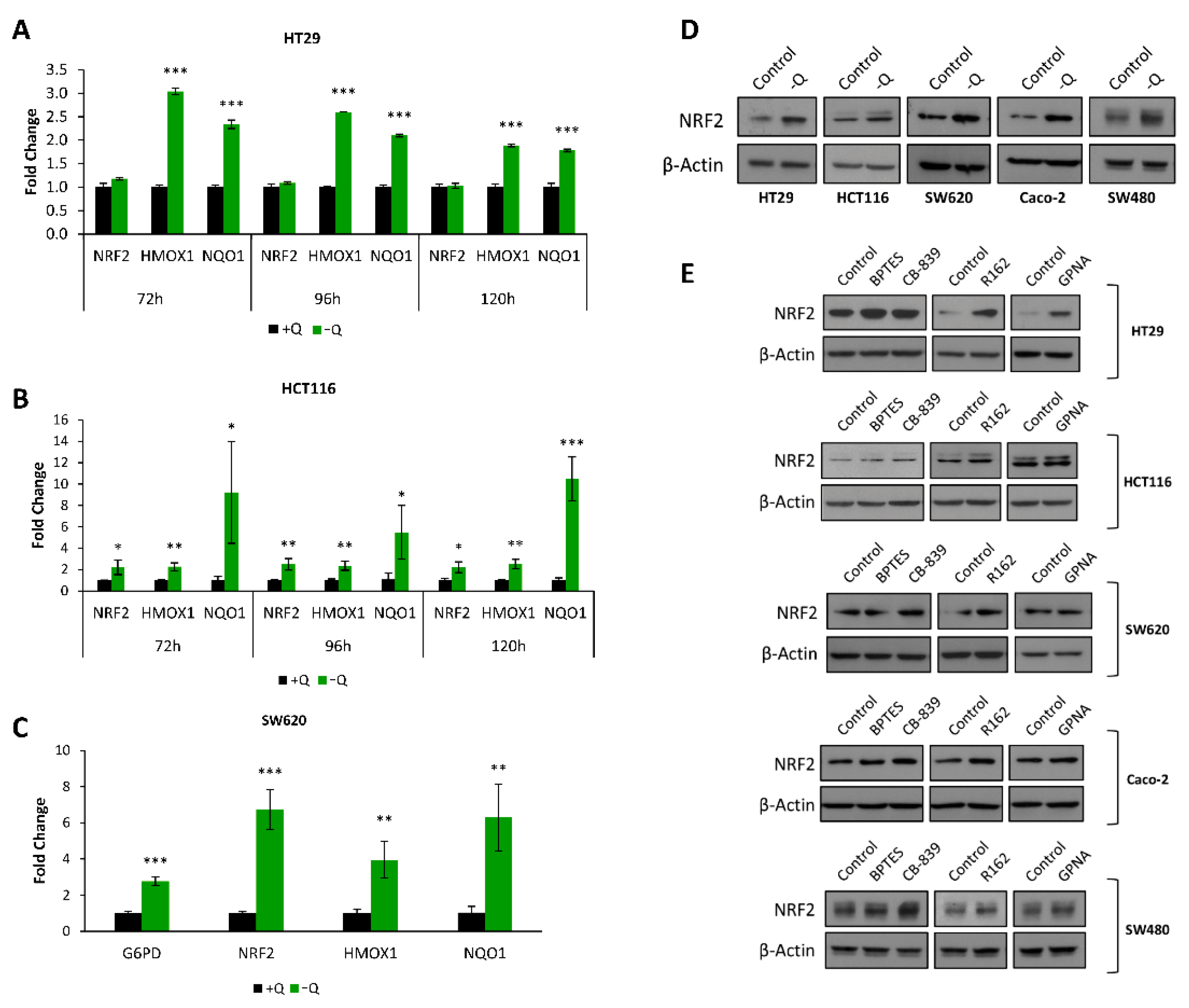 Antioxidants 10 01349 g005