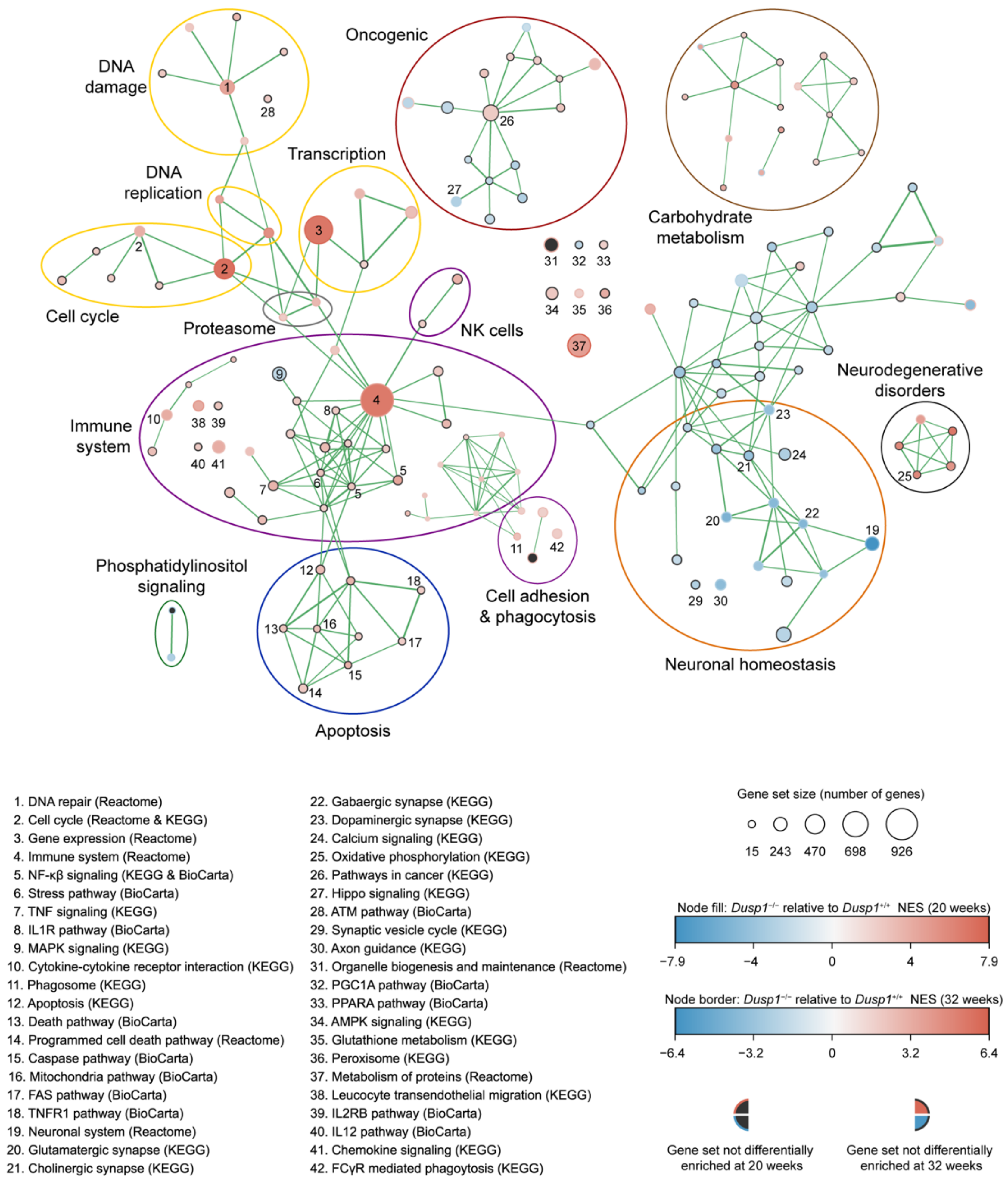 Antioxidants 10 01351 g001