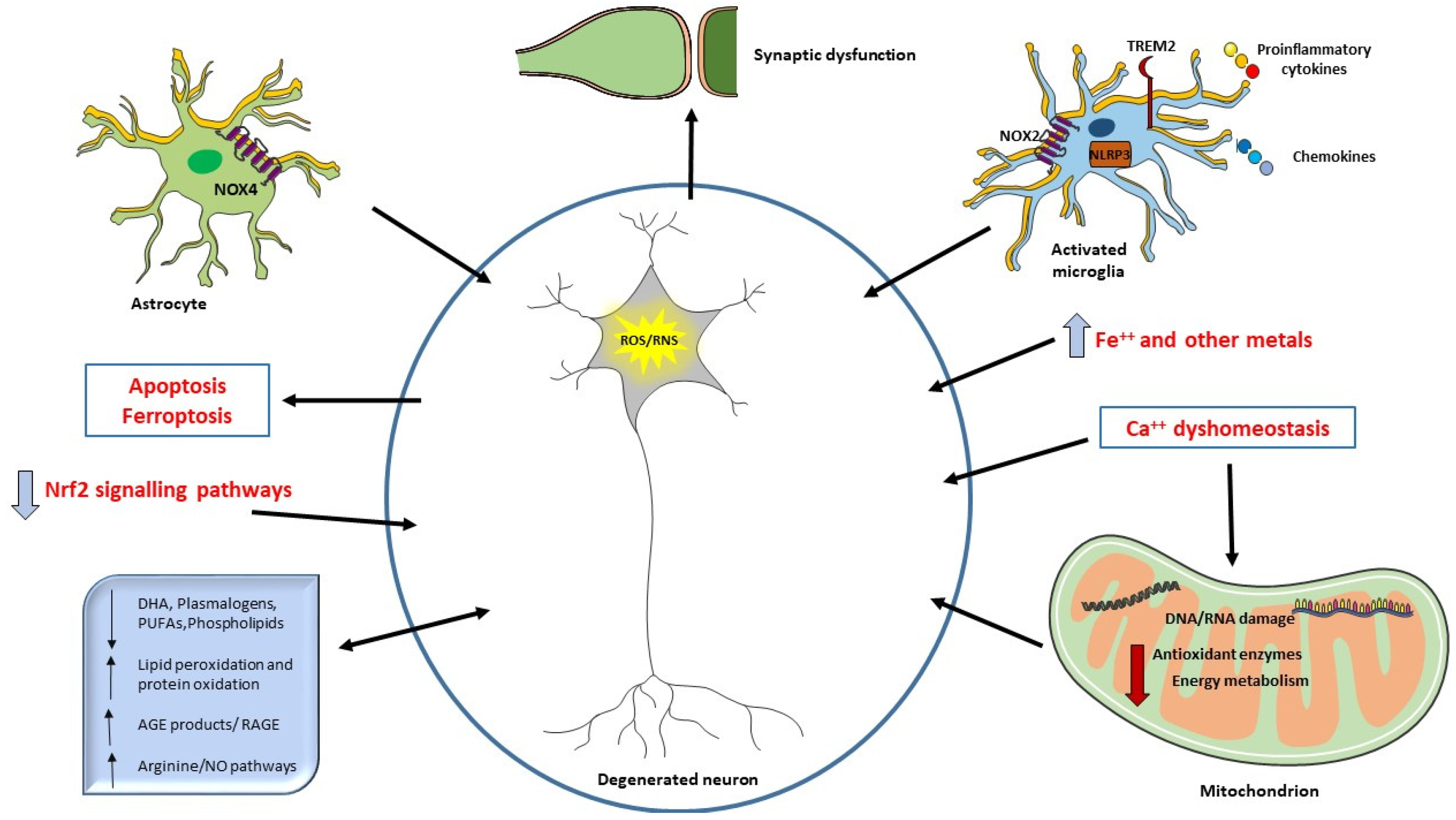 Antioxidants 10 01353 g001