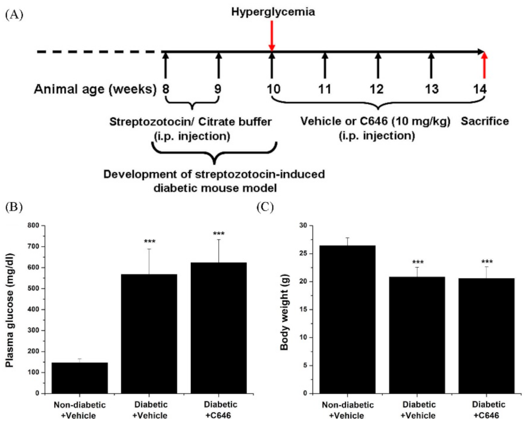 Antioxidants 10 01356 g001