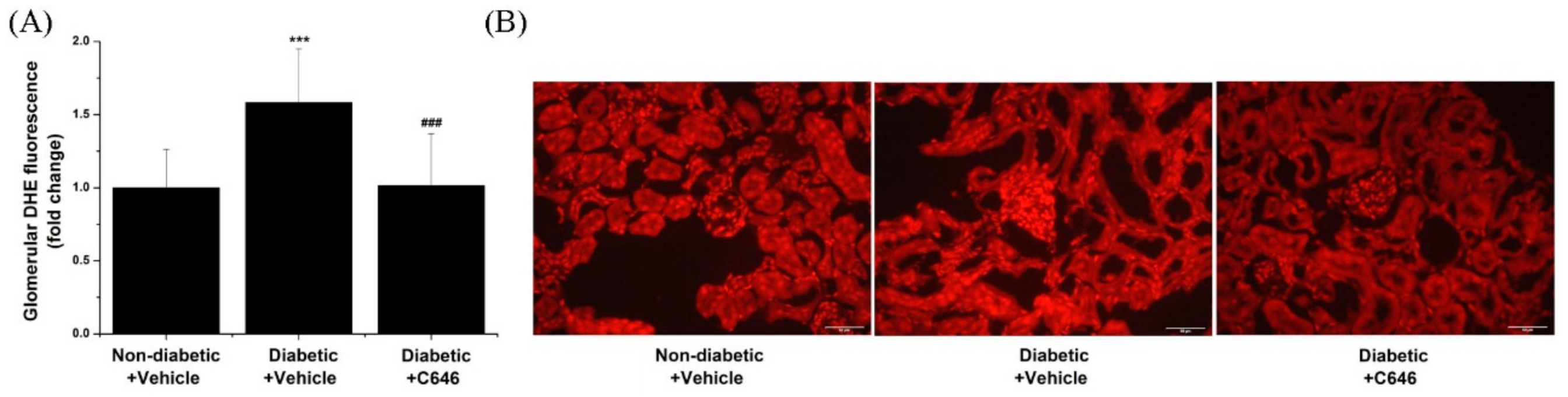 Antioxidants 10 01356 g005