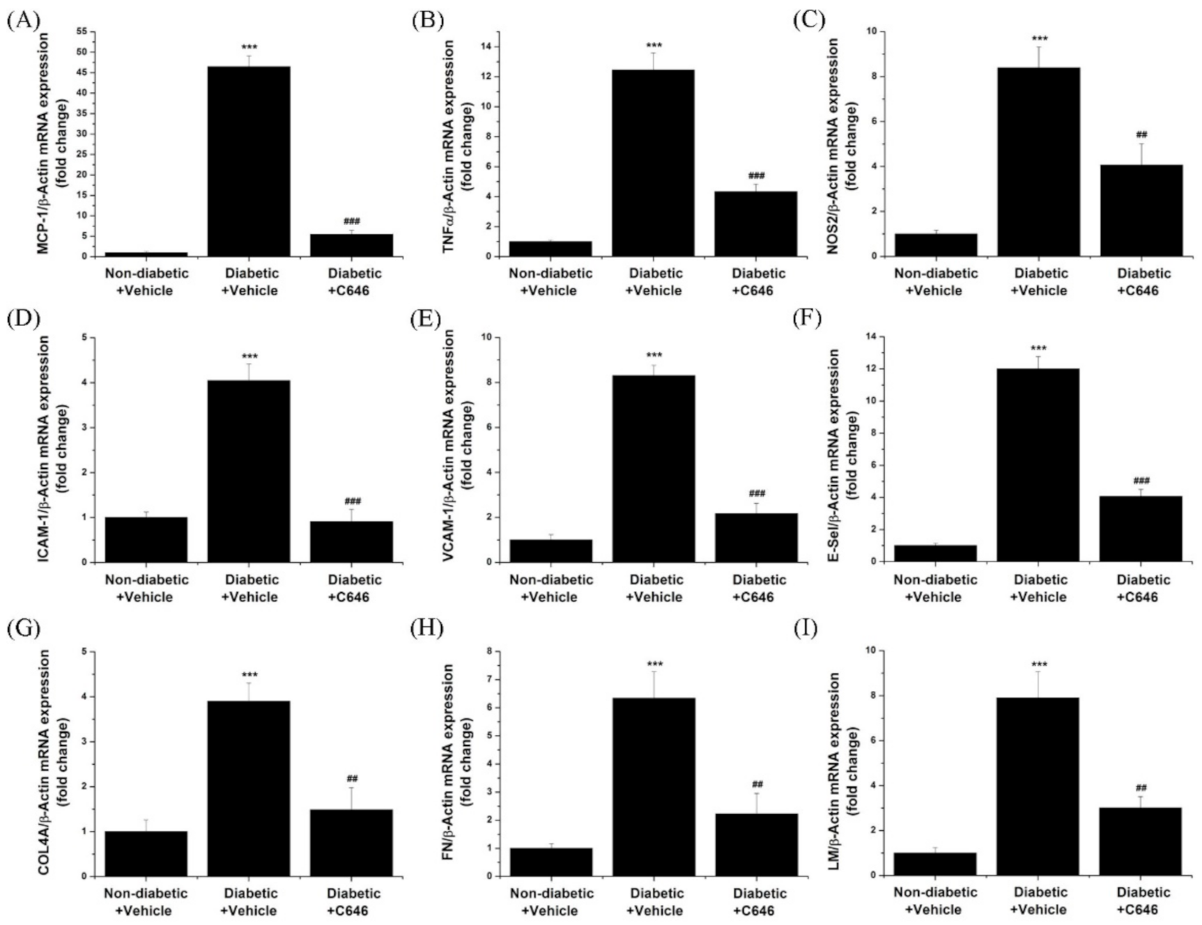 Antioxidants 10 01356 g006