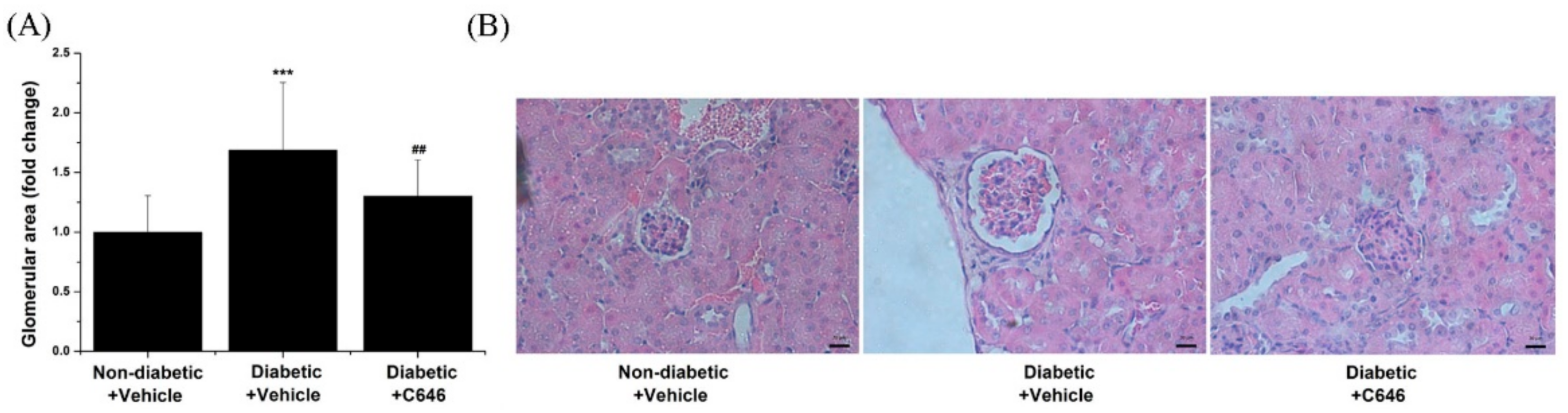 Antioxidants 10 01356 g008