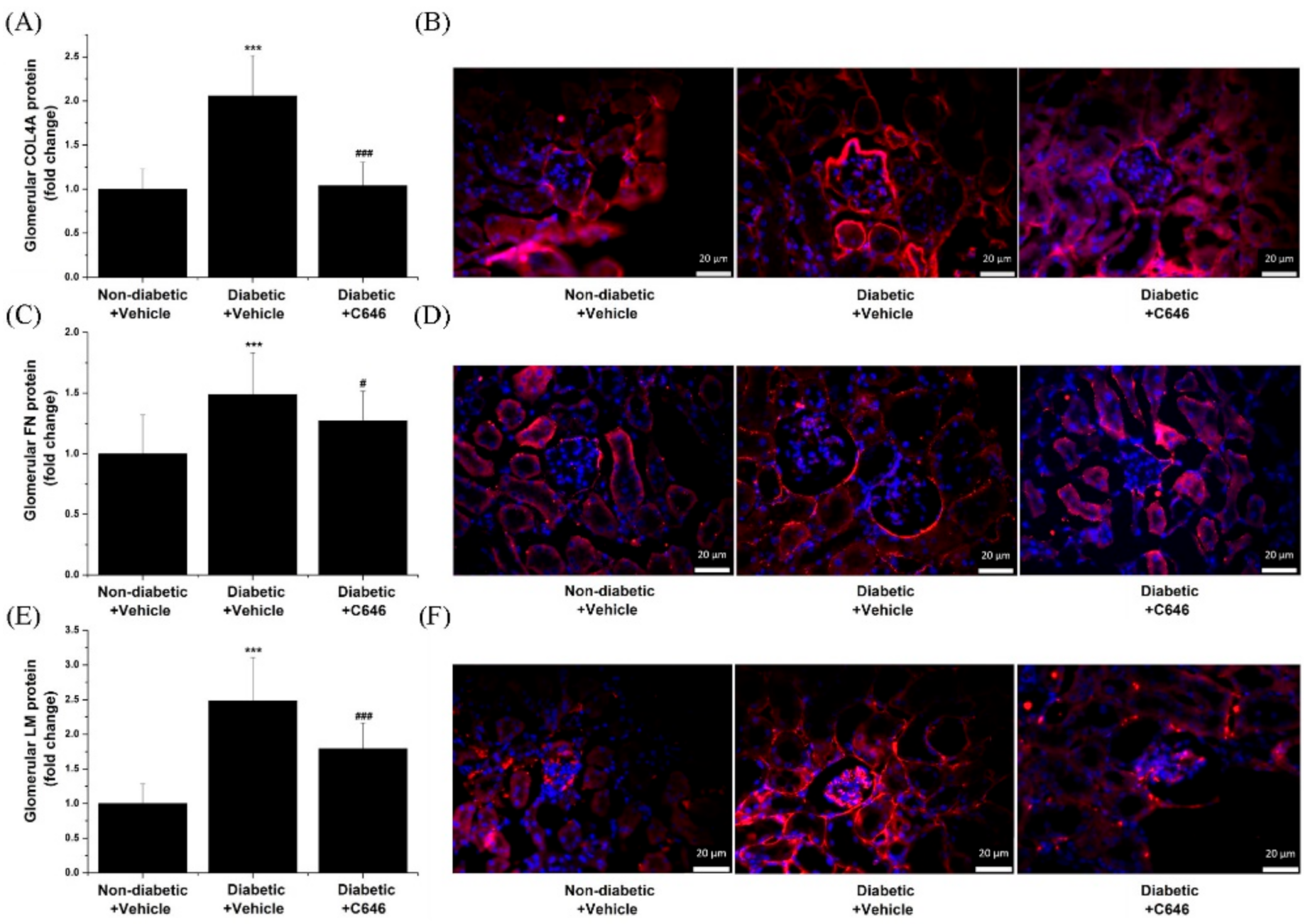 Antioxidants 10 01356 g009
