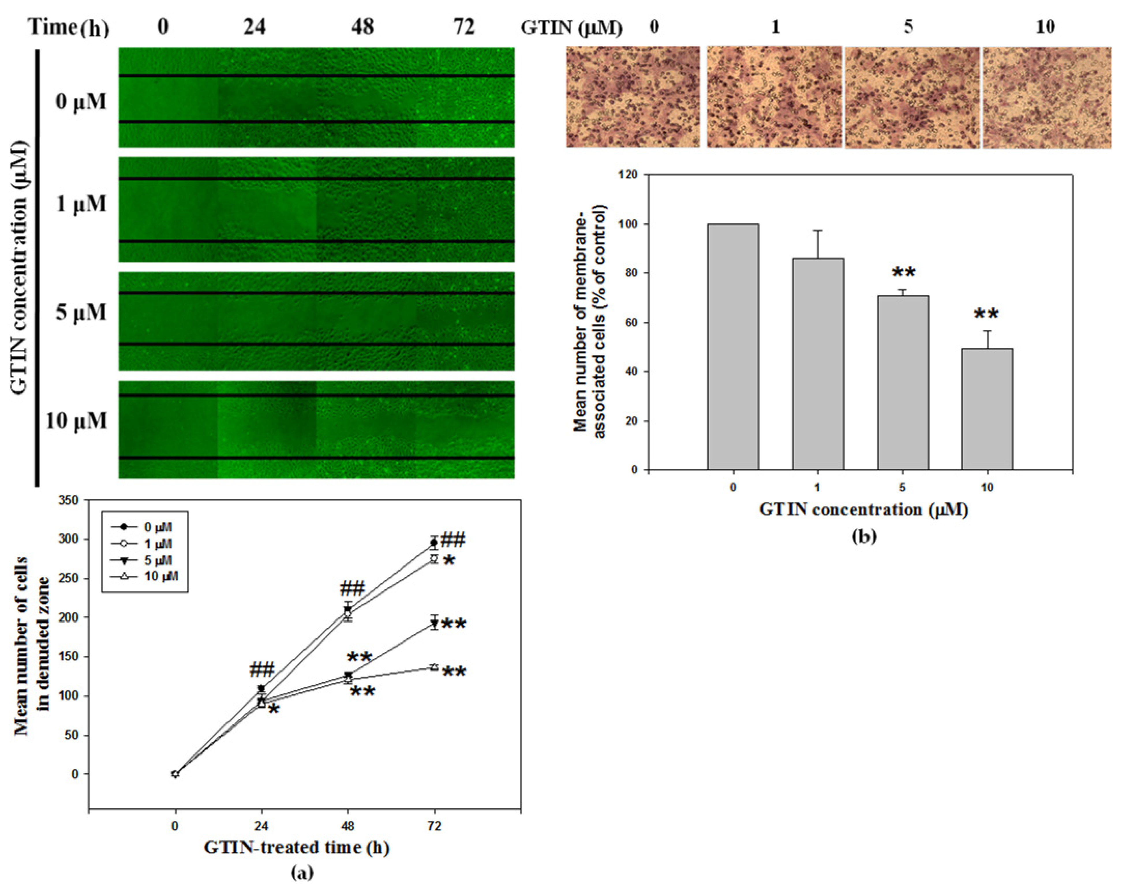 Antioxidants 10 01357 g003