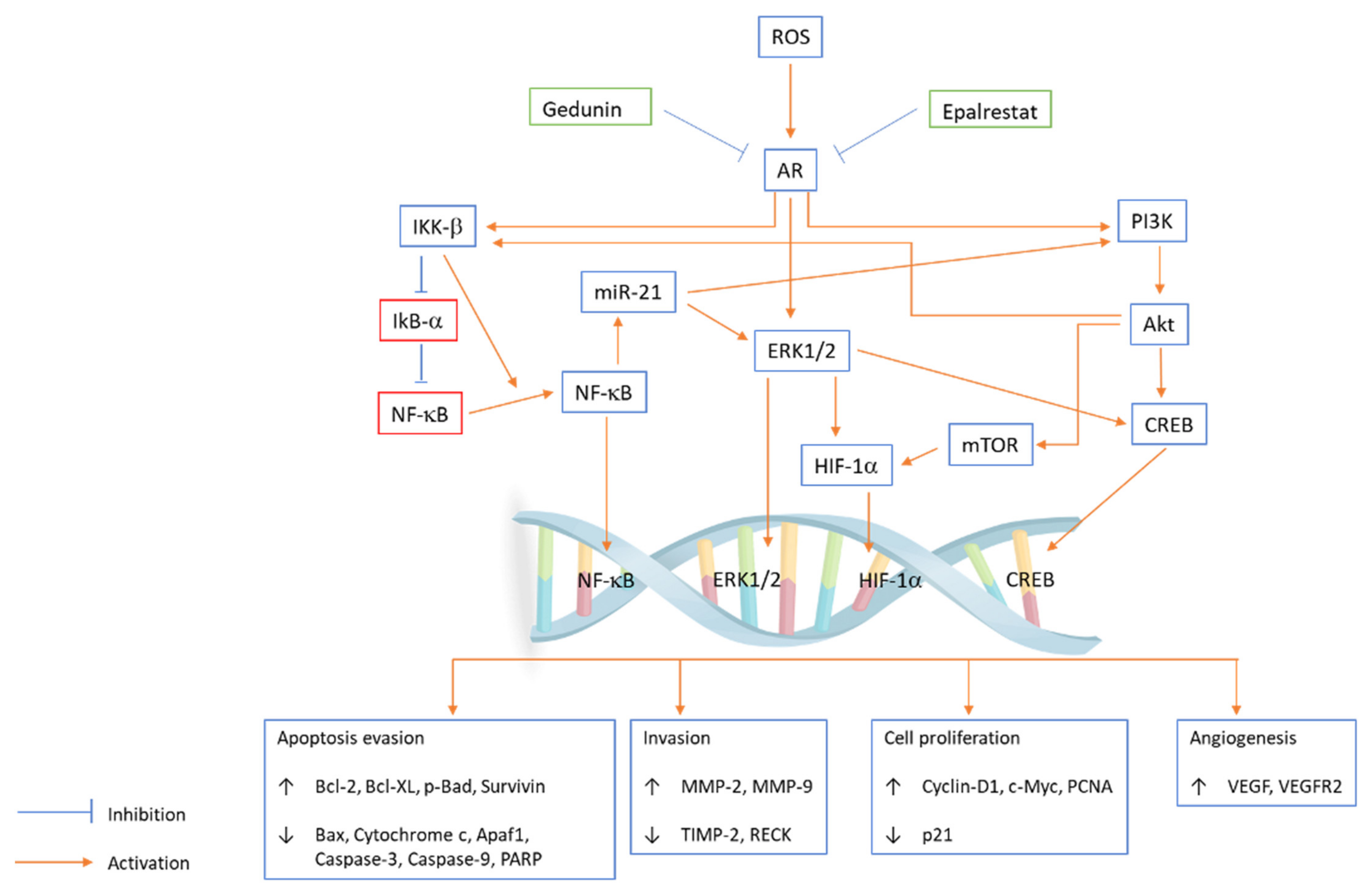 Antioxidants 10 01358 g002