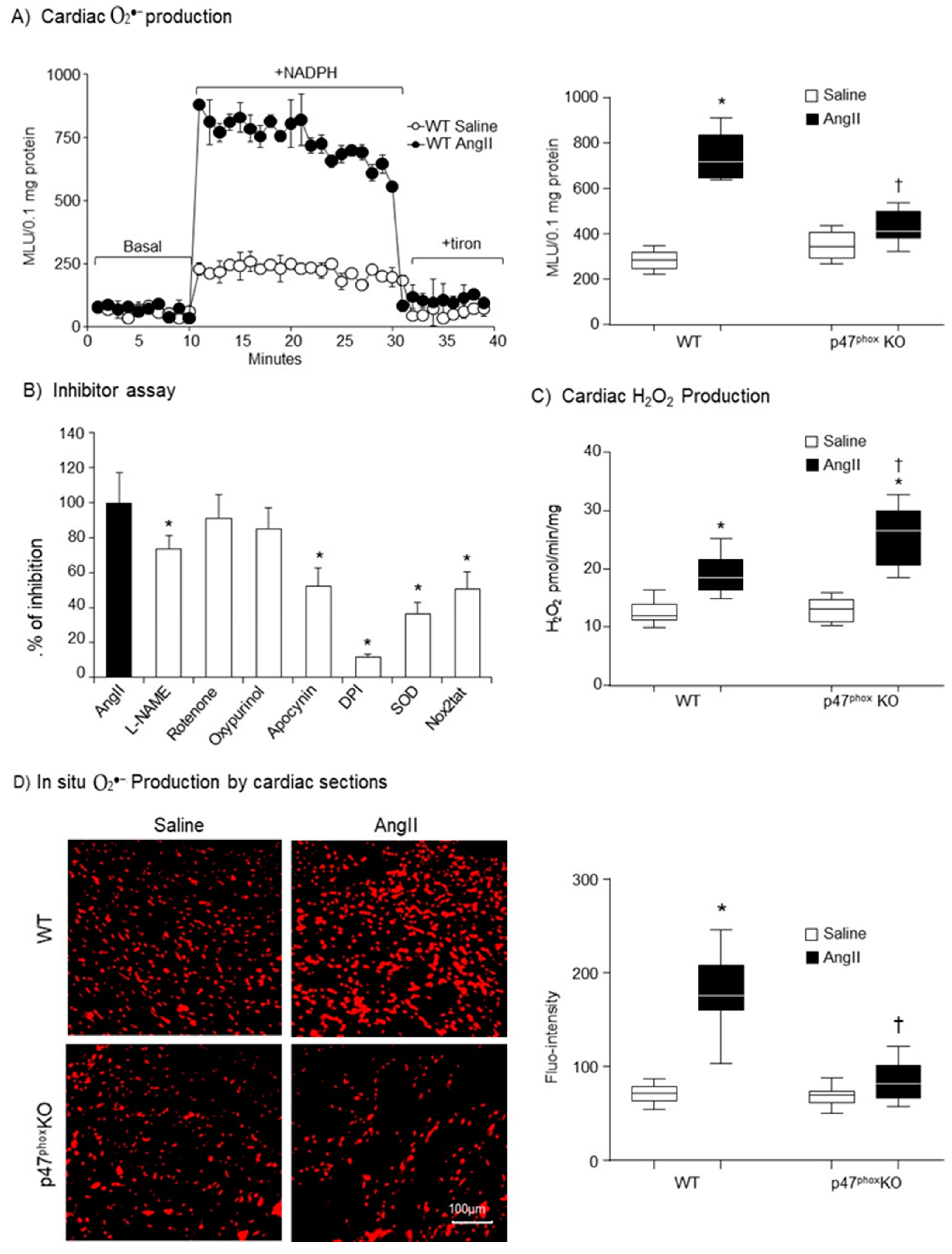 Antioxidants 10 01363 g002