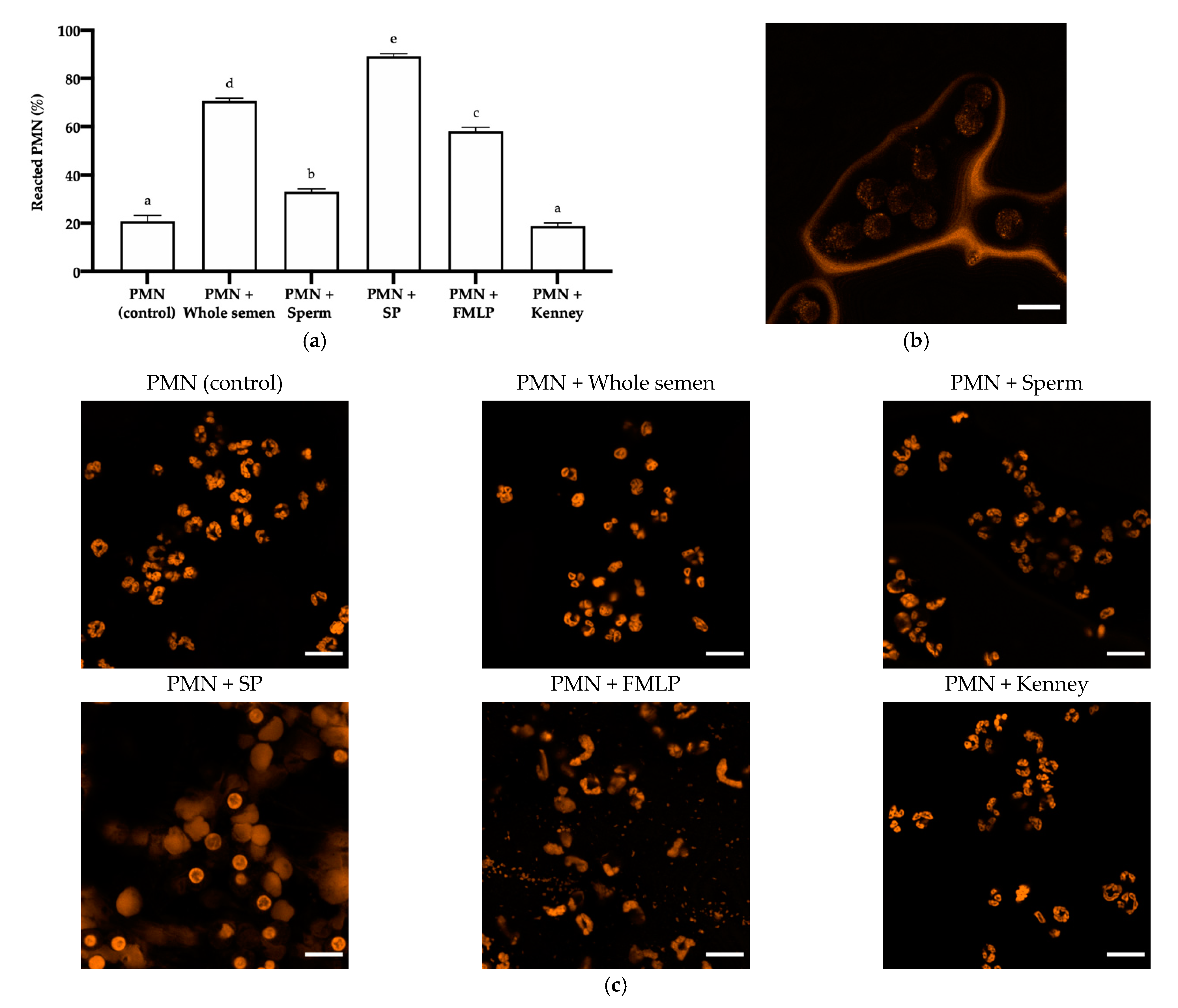Antioxidants 10 01367 g006