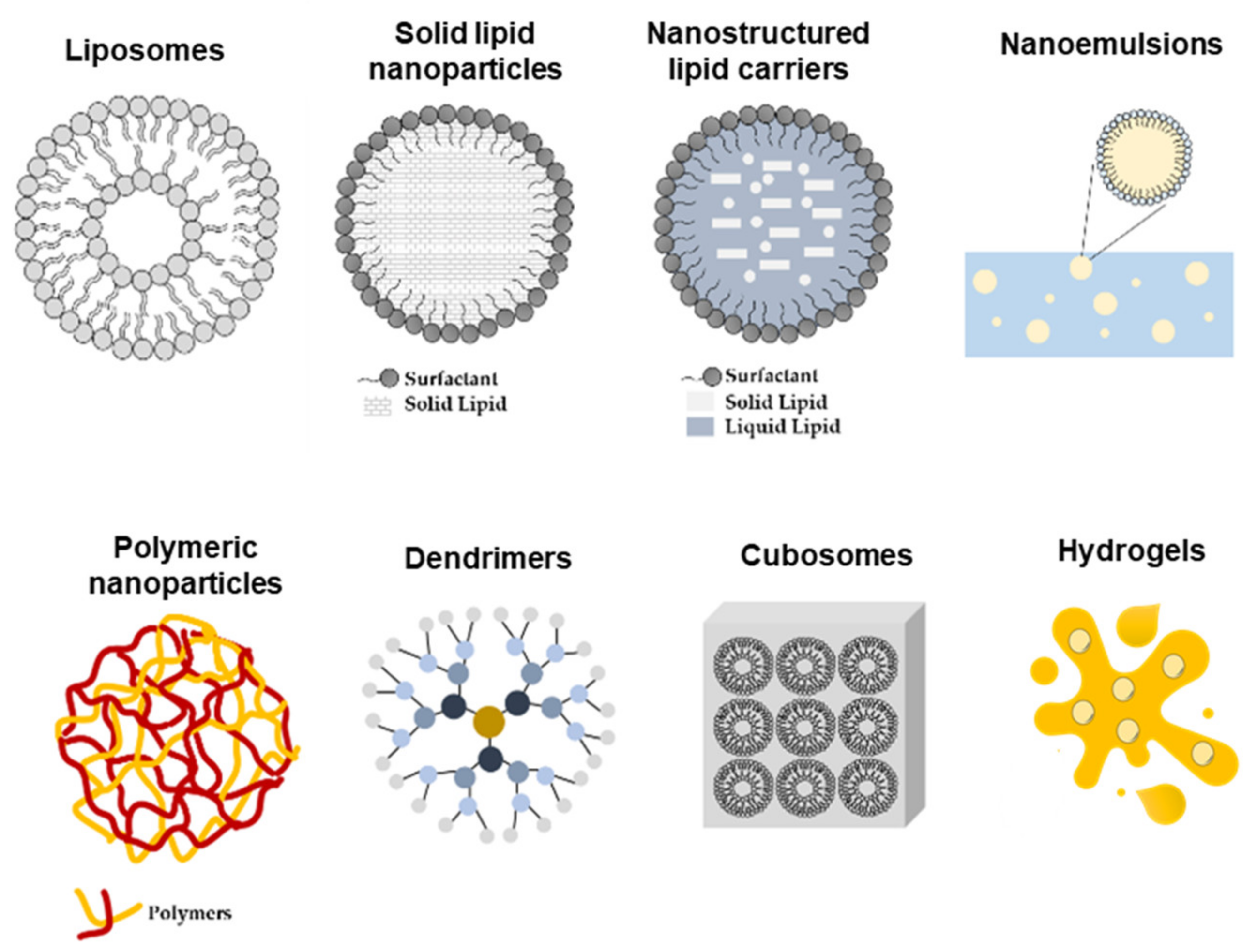 Antioxidants 10 01376 g004