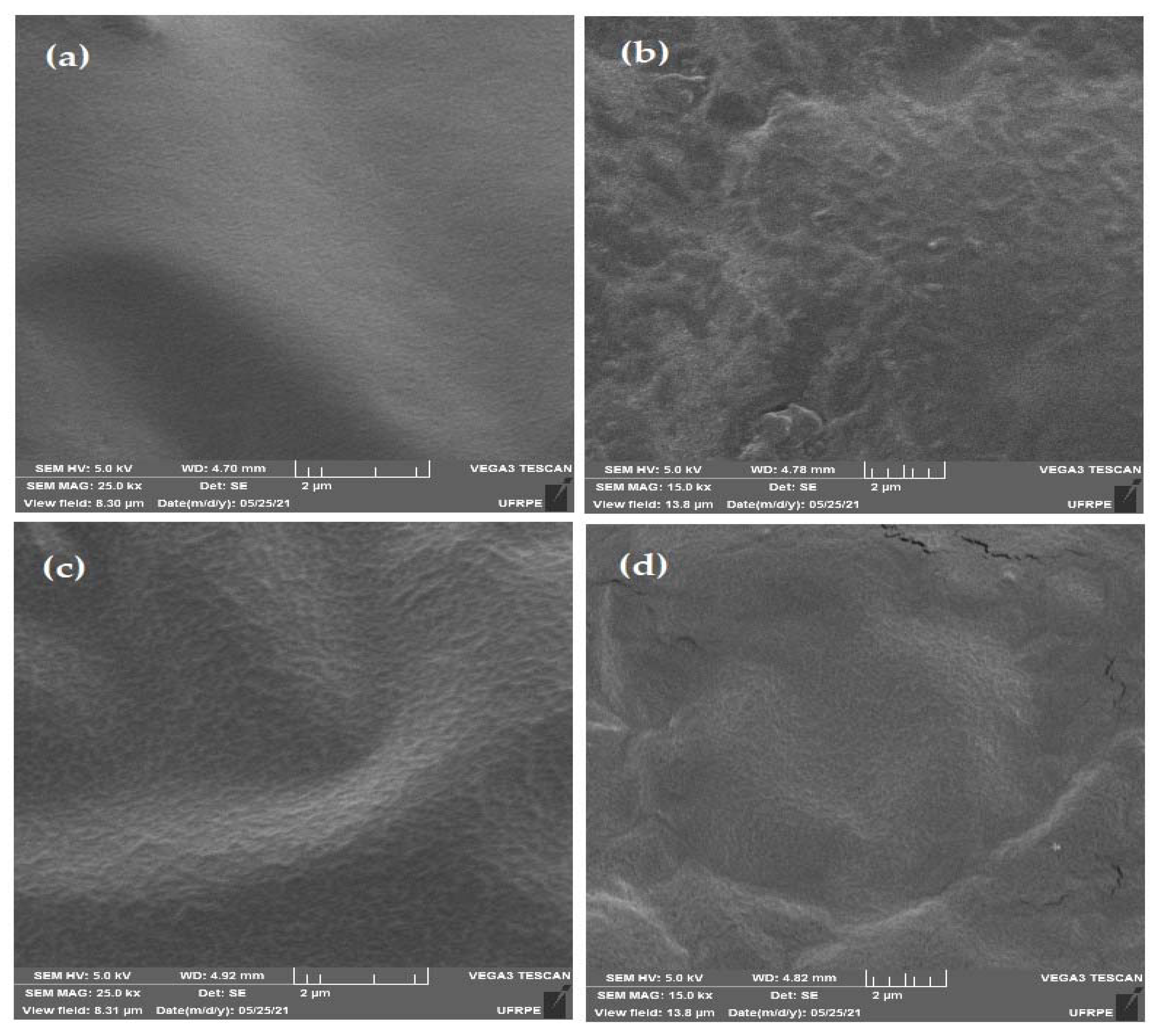 Antioxidants 10 01378 g002 Antioxidants 10 01378 g002