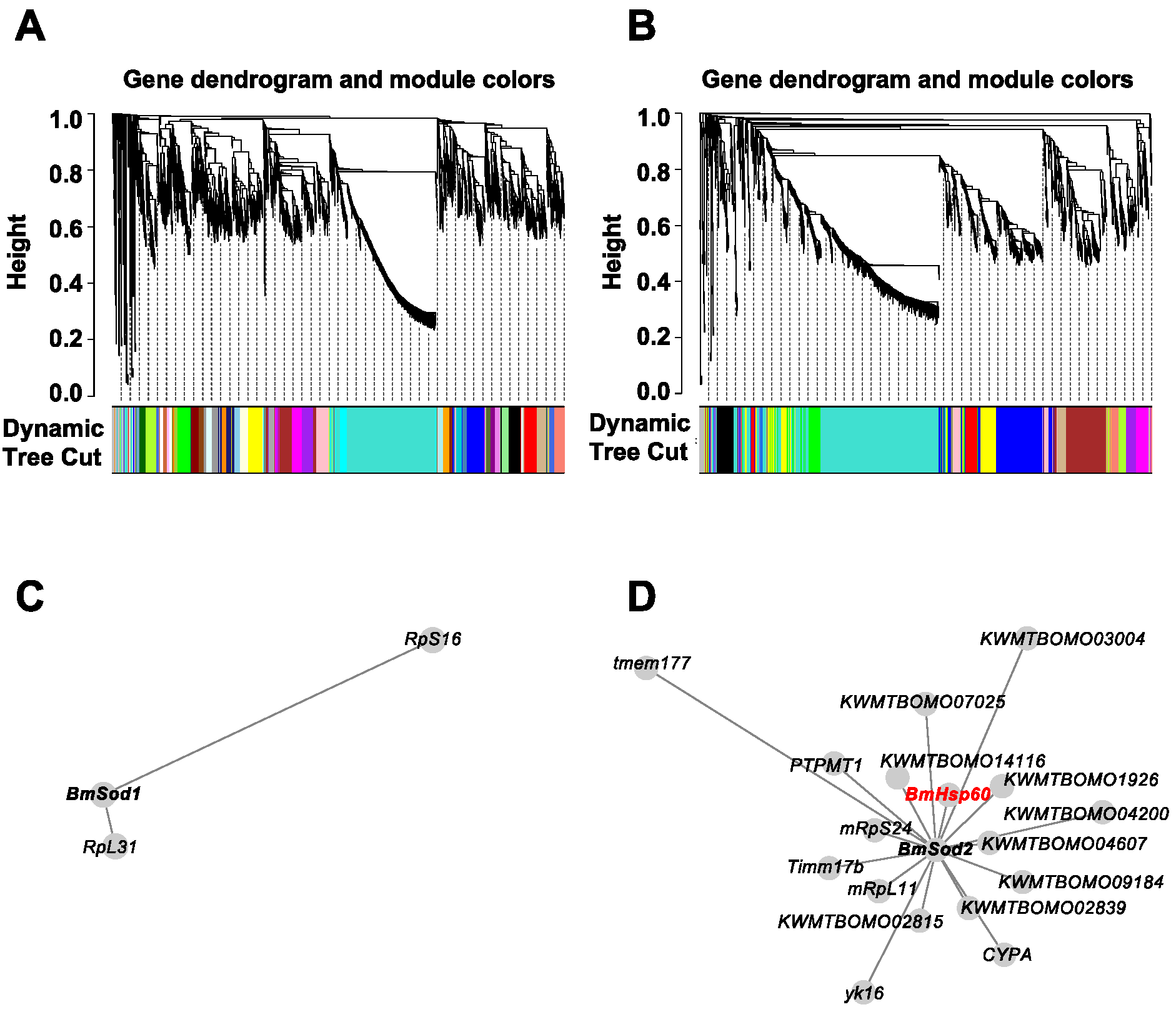 Antioxidants 10 01385 g001
