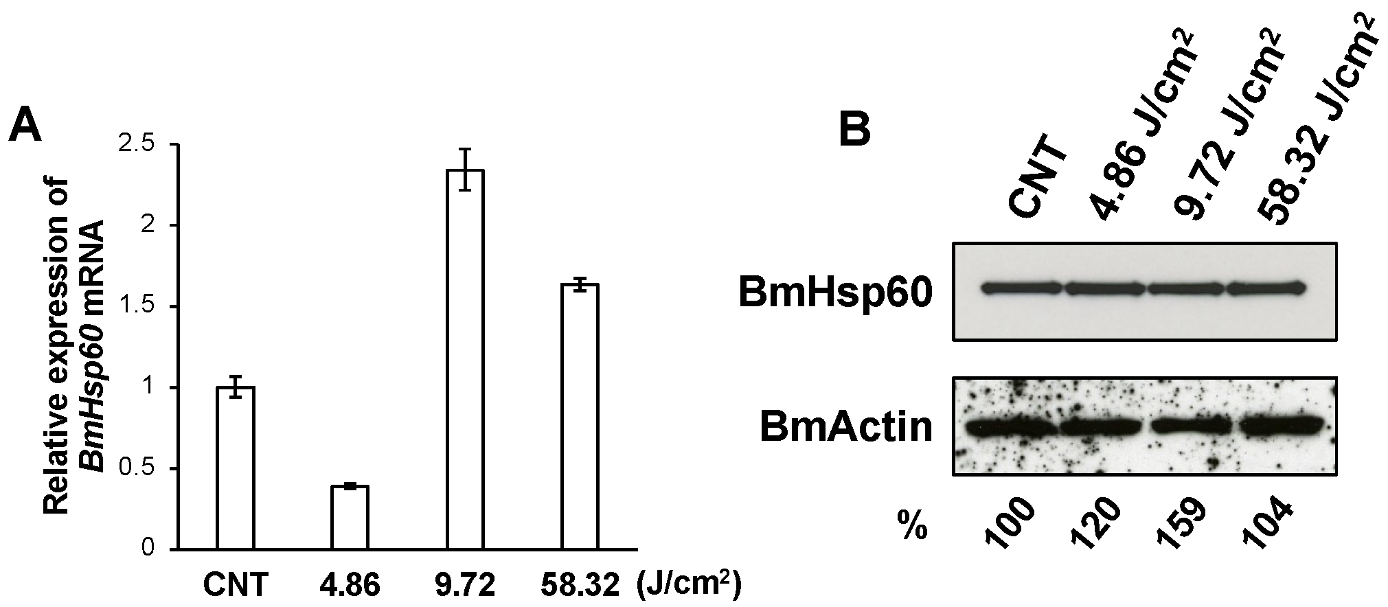 Antioxidants 10 01385 g003