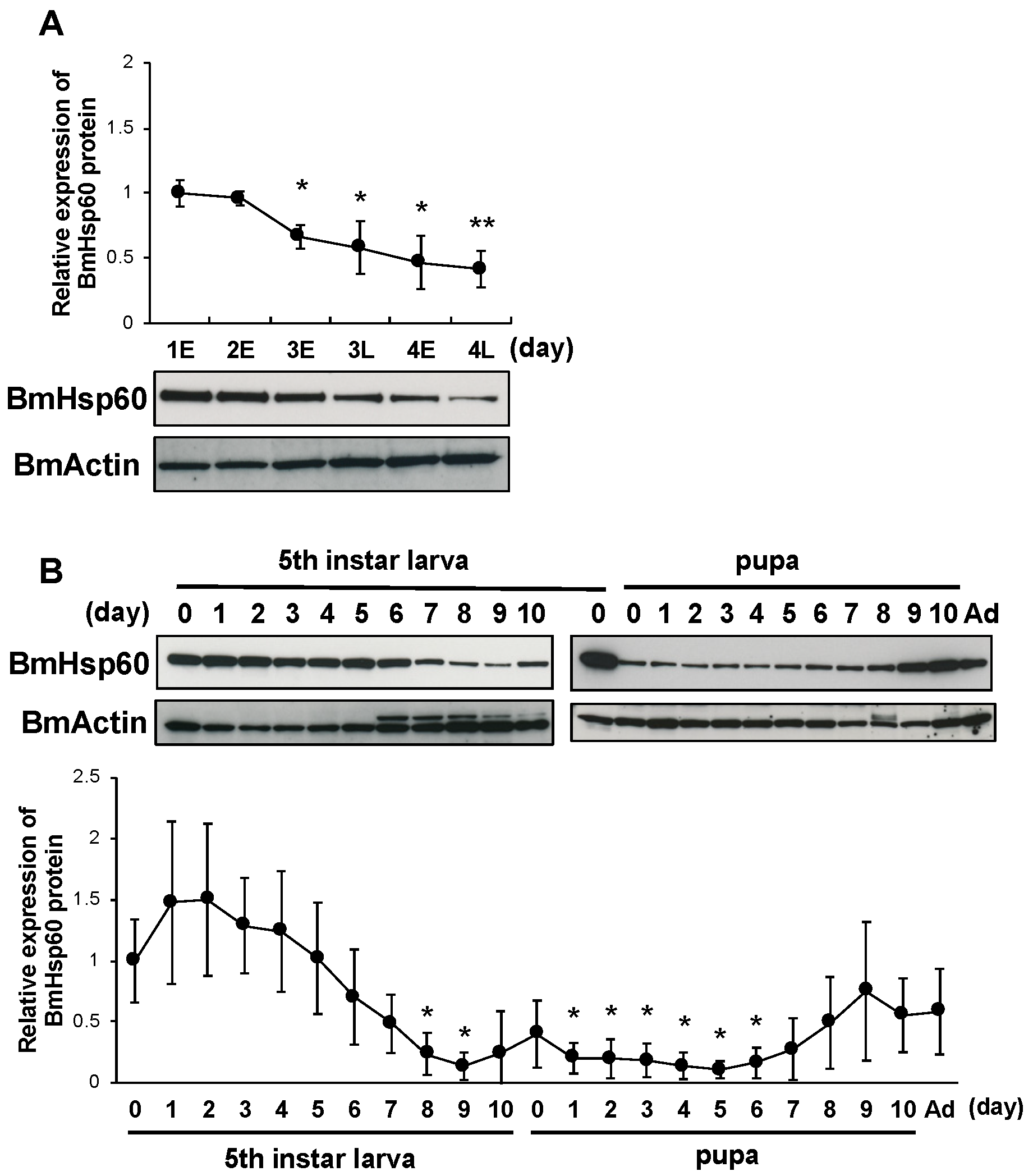 Antioxidants 10 01385 g004